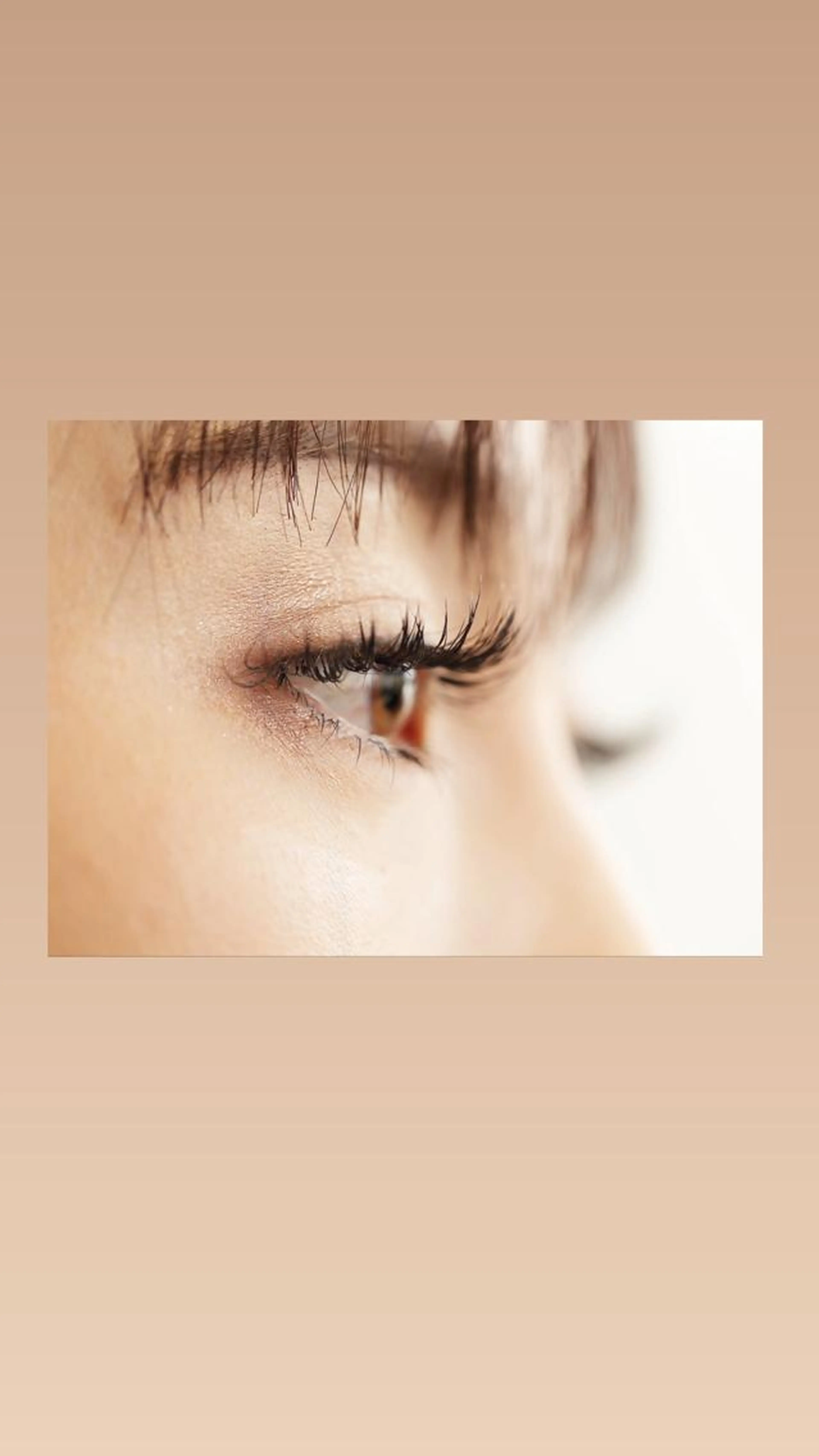 シングルセーブルラッシュ120本の写真