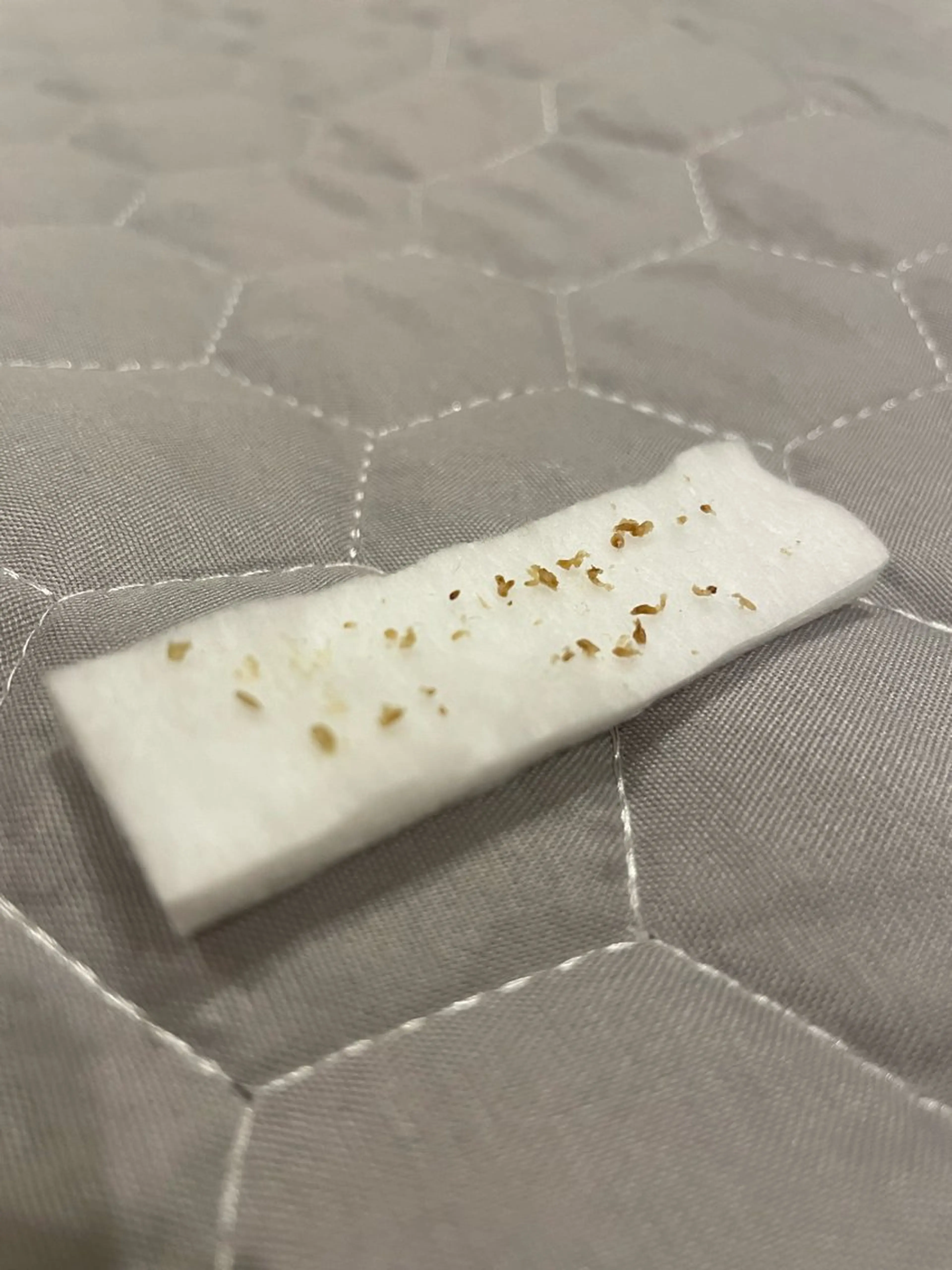 エステ Wita   aesthetic×eyelash所属・上坂 祐以のエステ・リラクイメージ