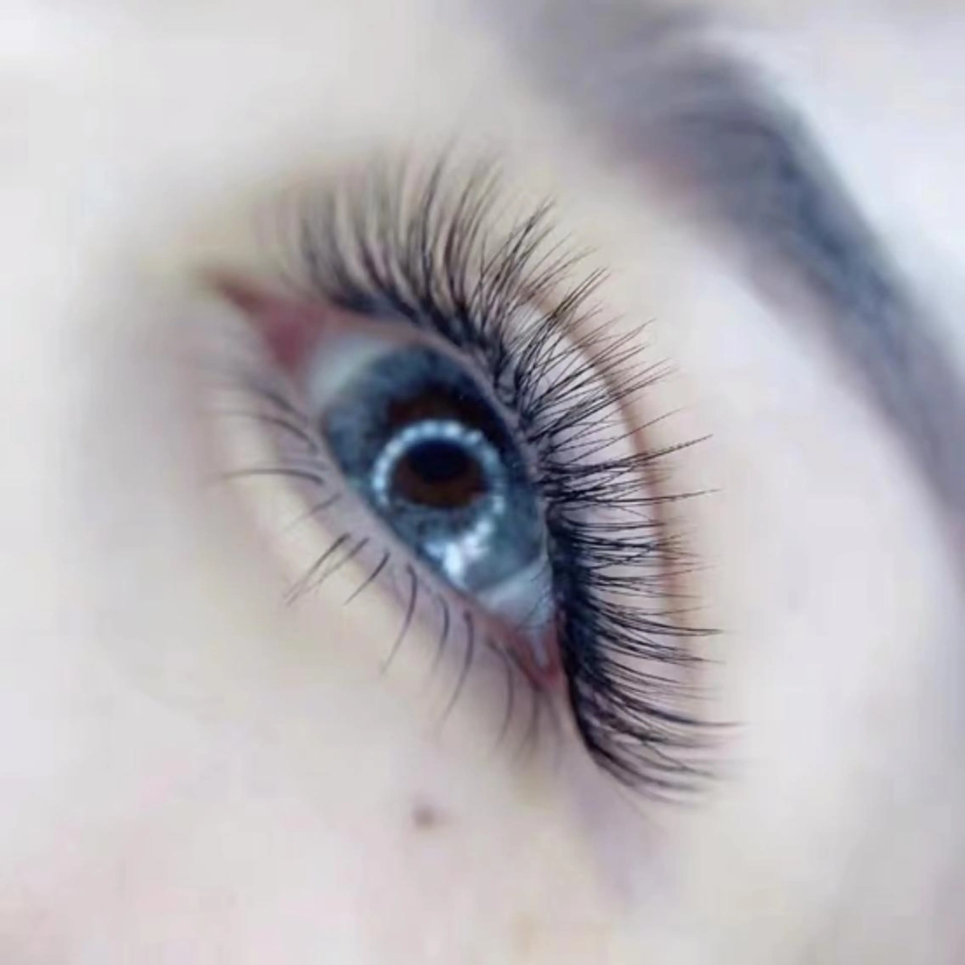 マツエク・マツパ 付け放題 An beauty2のマツエク・マツパデザイン