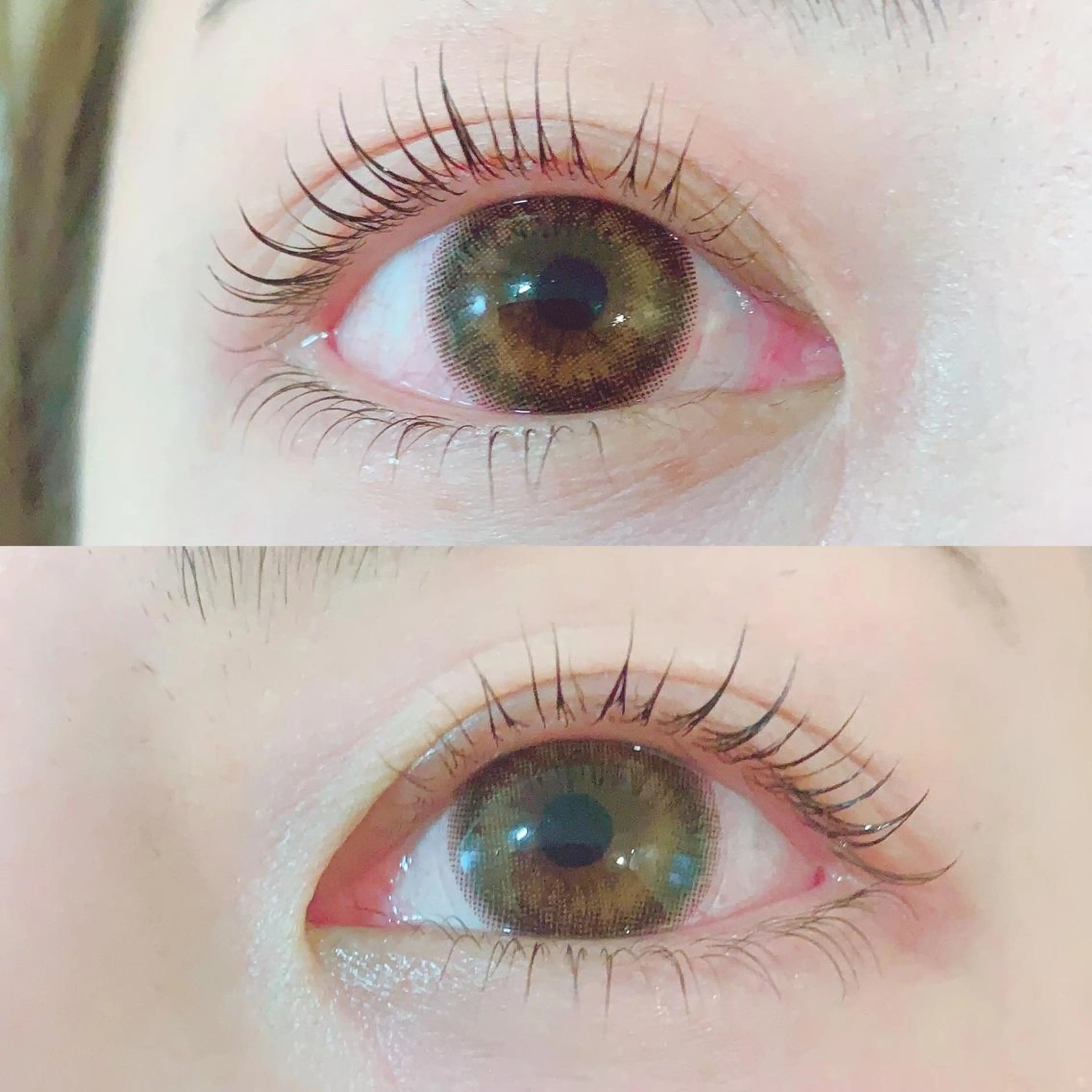 アミノ酸ラッシュリフト👀🩷束感仕上げ🌈の写真