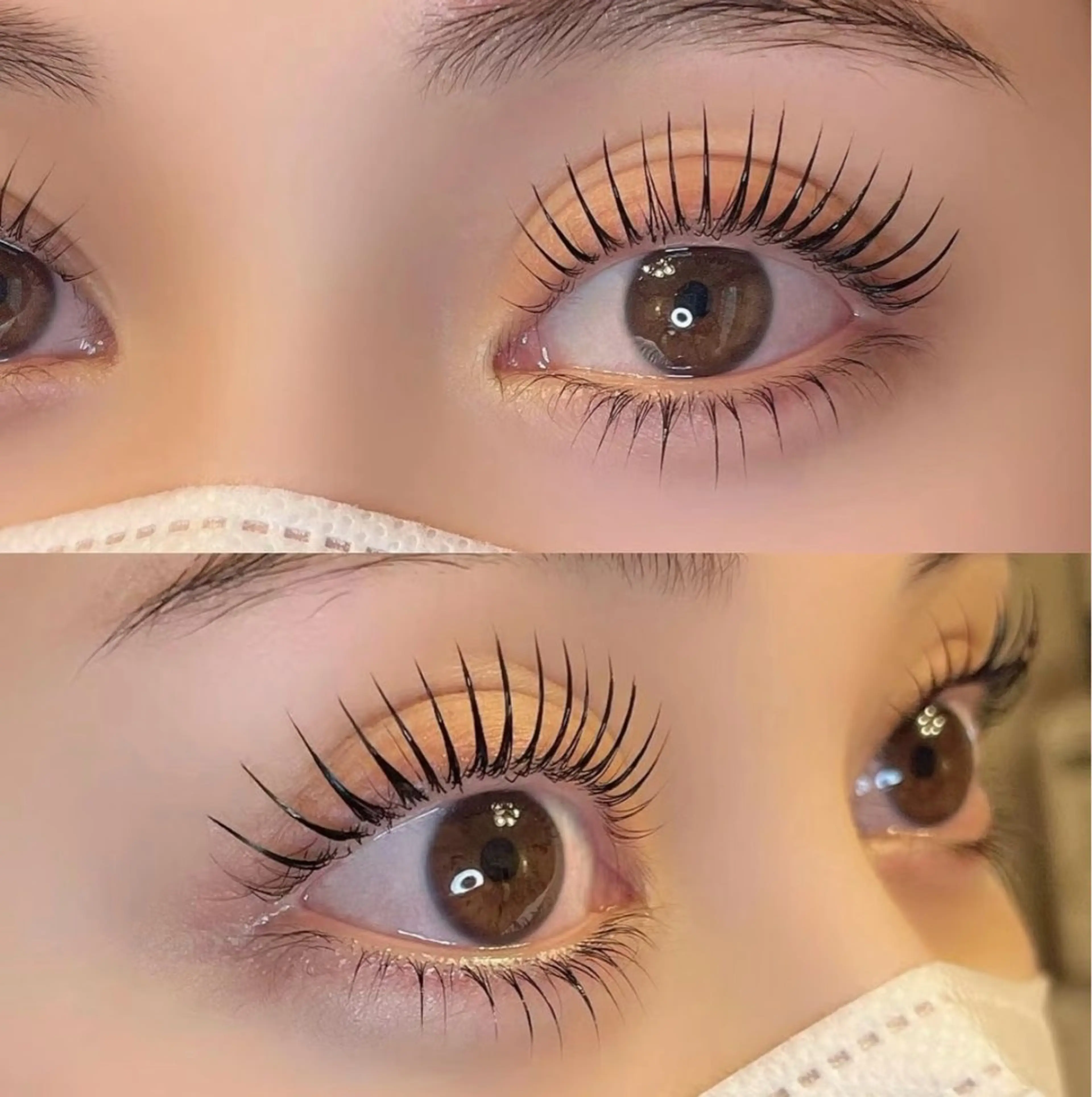 パリジェンヌラッシュリフト上下&コテイング剤付き¥6500の写真