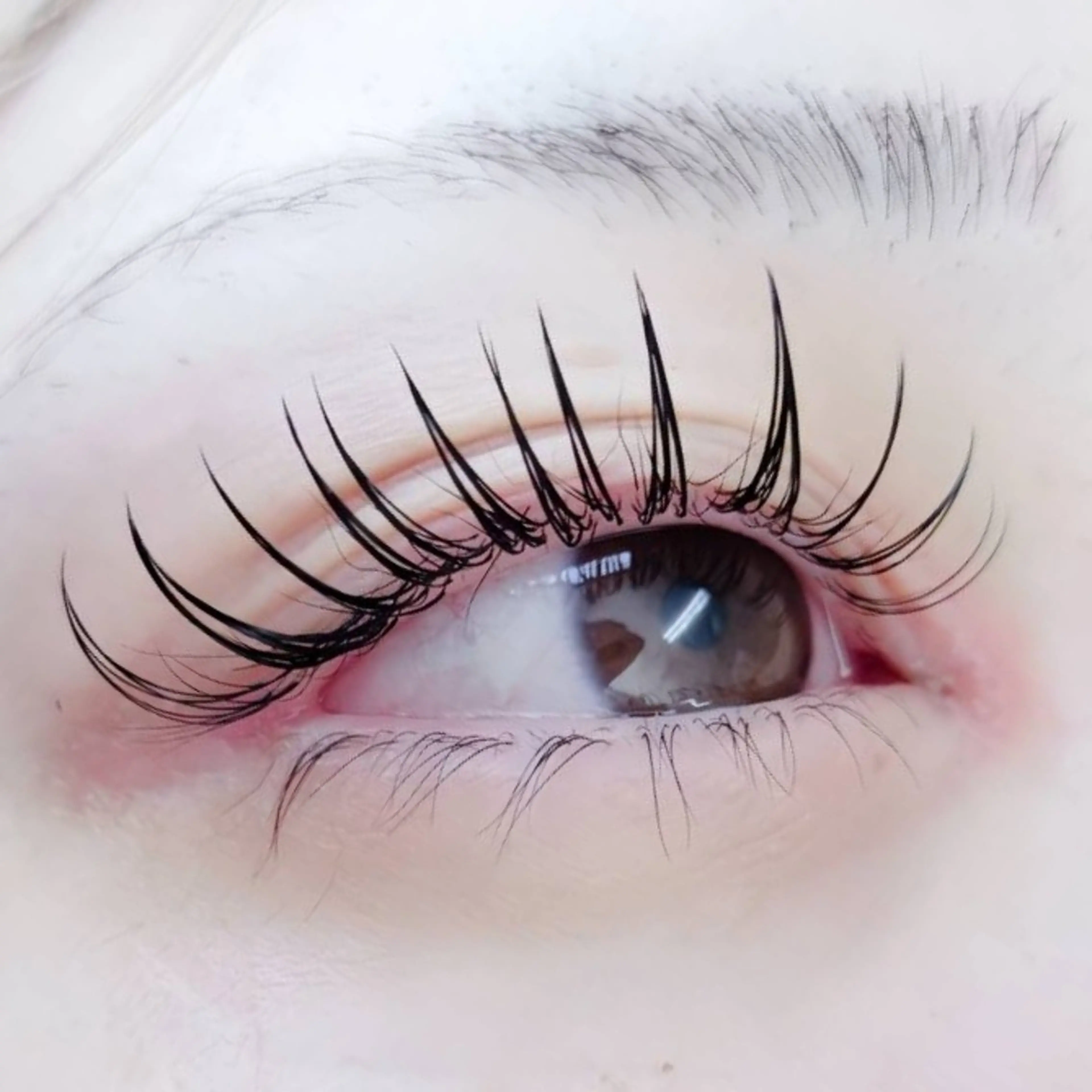 フラットマットラッシュ160本（オフ無料）の写真