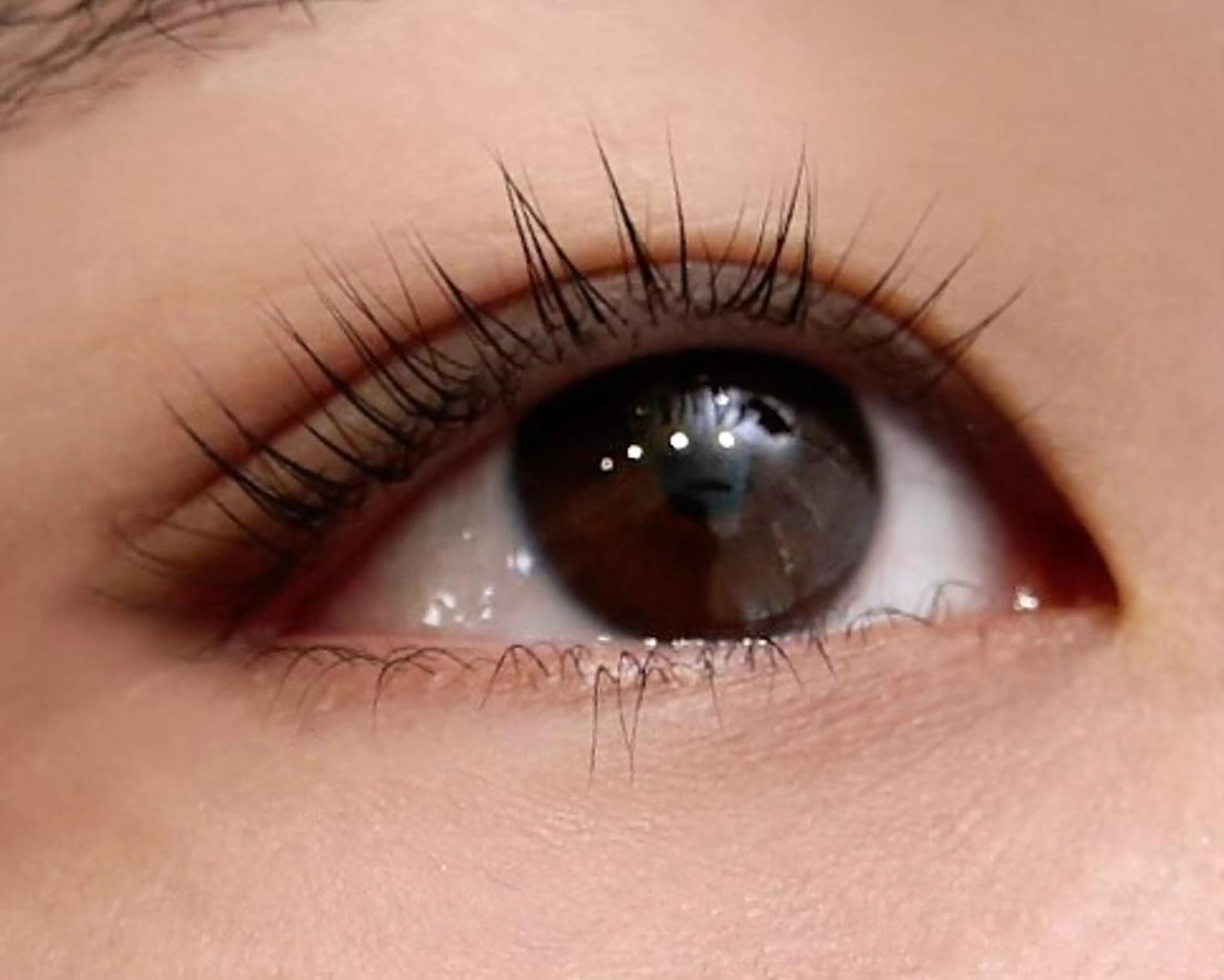 マツエク・マツパ まつげパーマ 下まつげエクステ MiLua 🌙✨のマツエク・マツパデザイン