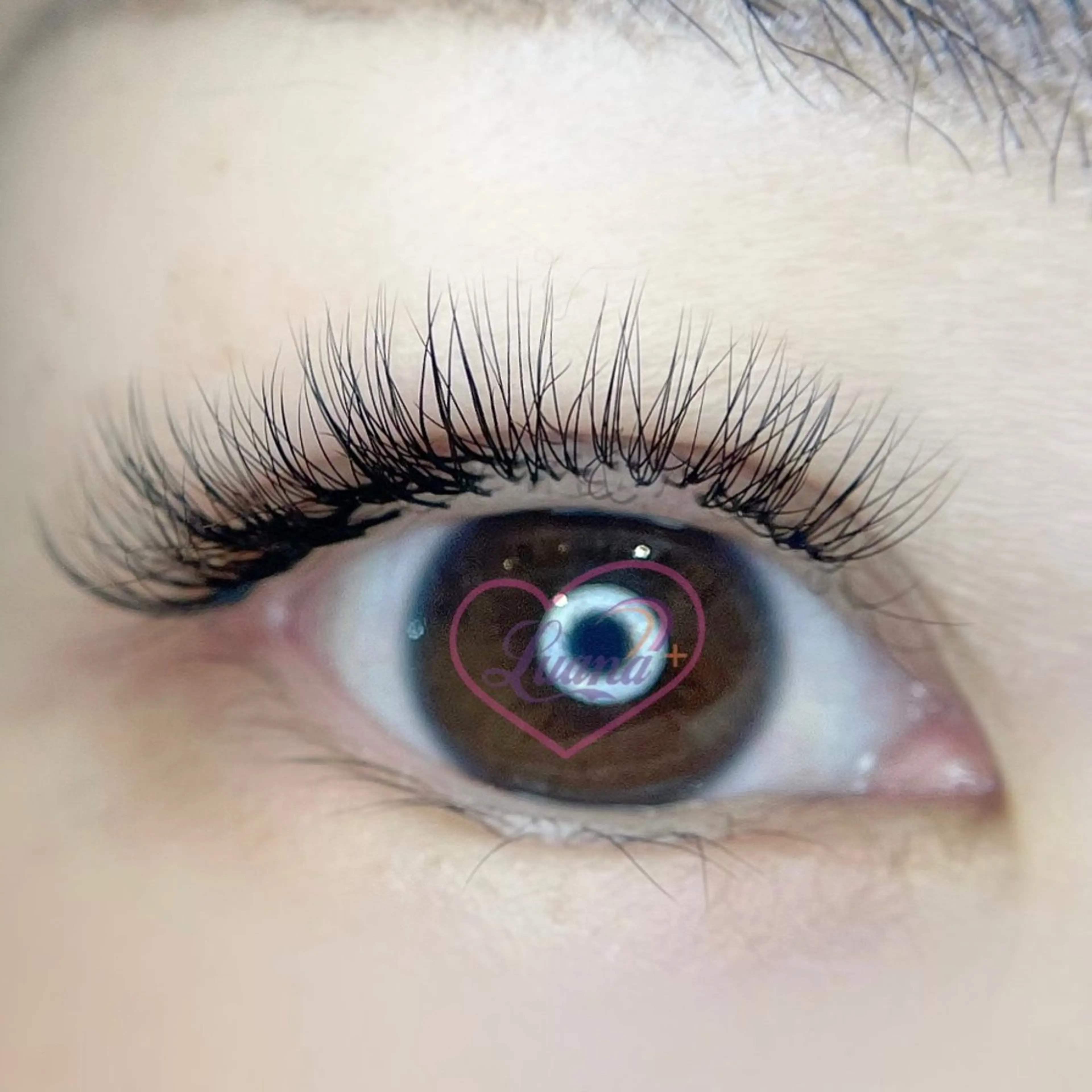 マツエク・マツパ Luana＋ Kuroiwaのエステ・リラクイメージ