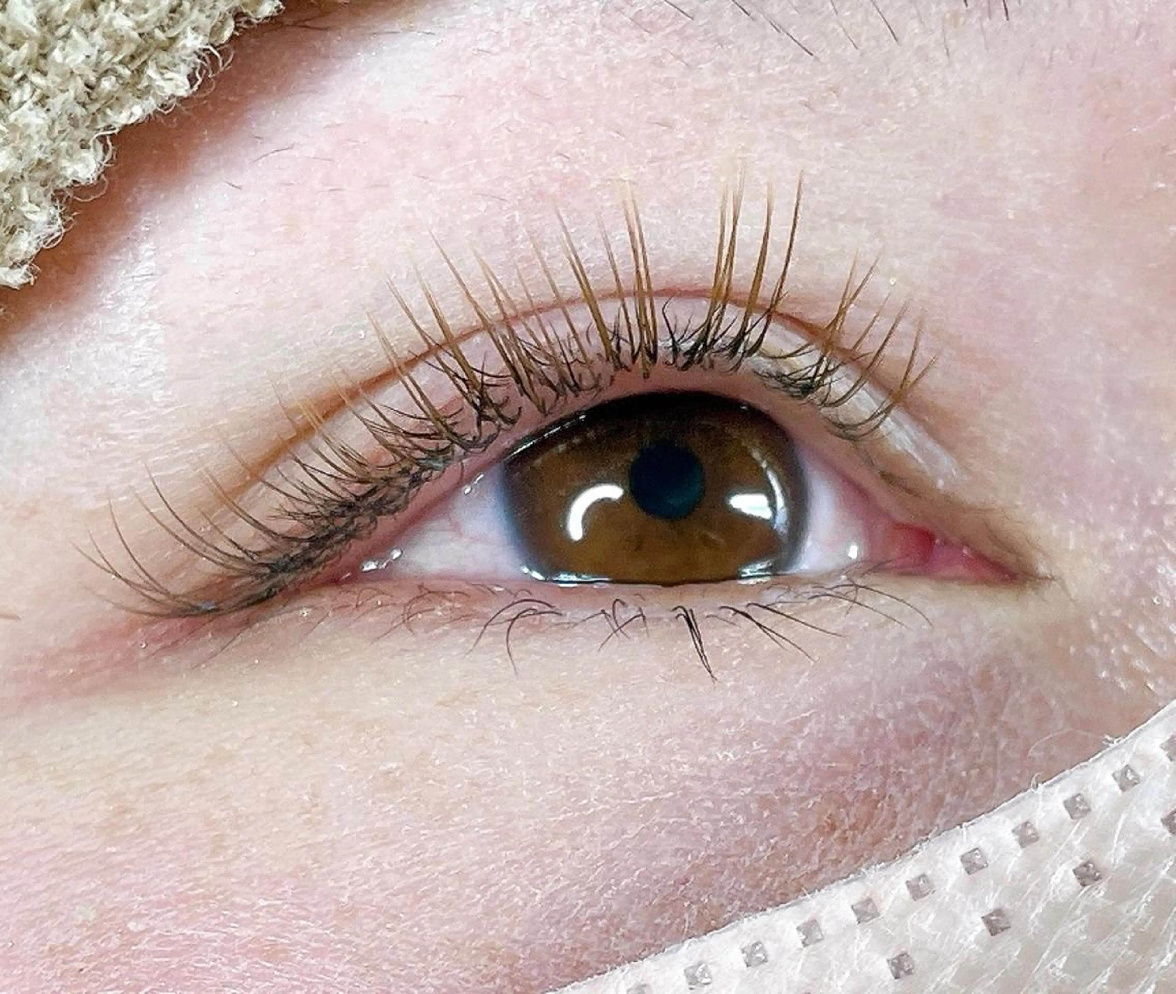 【オフなし】フラットカラーマツエク 100本の写真