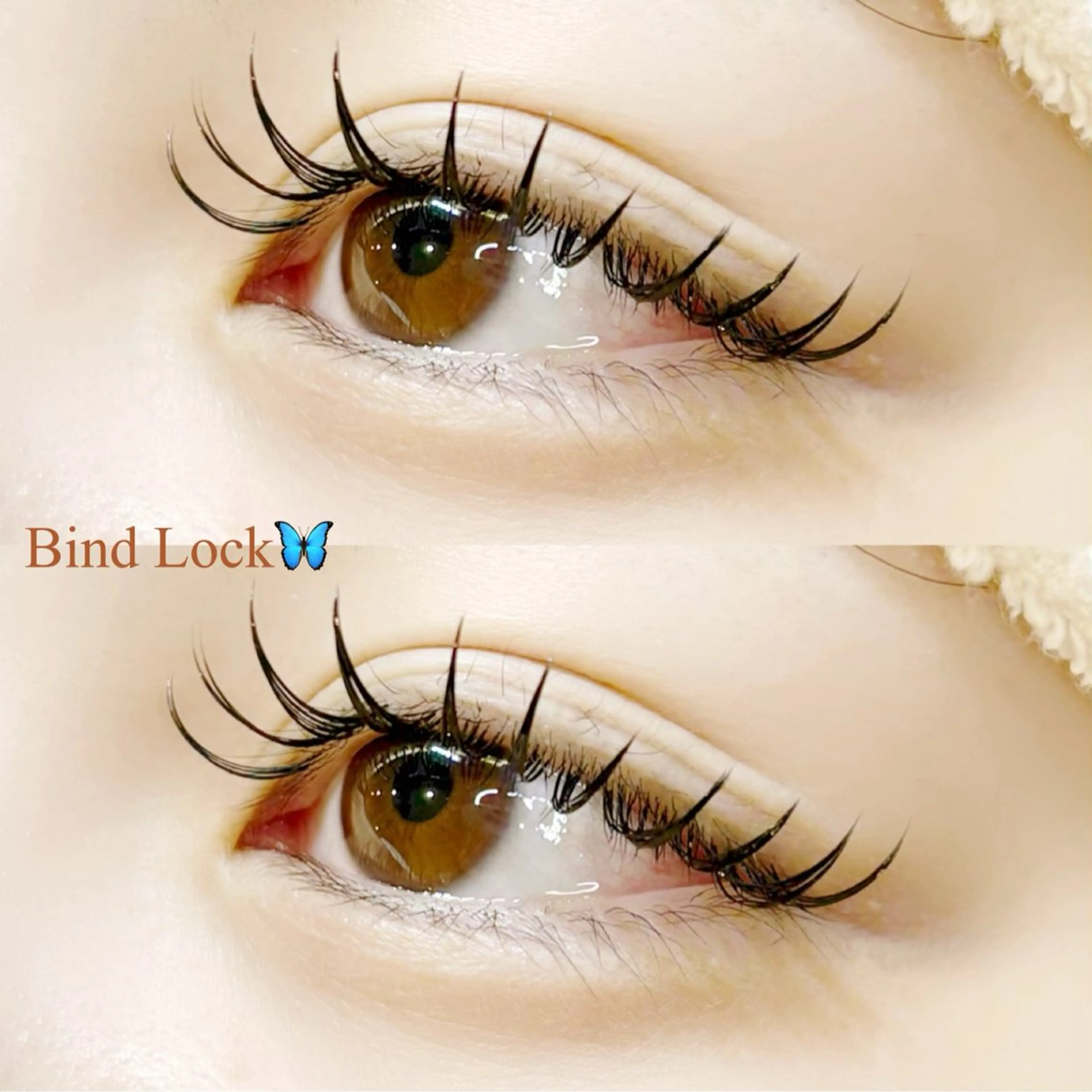 マツエク・マツパ マツエク 🌙 ａｓｕｋa 🫧のマツエク・マツパデザイン