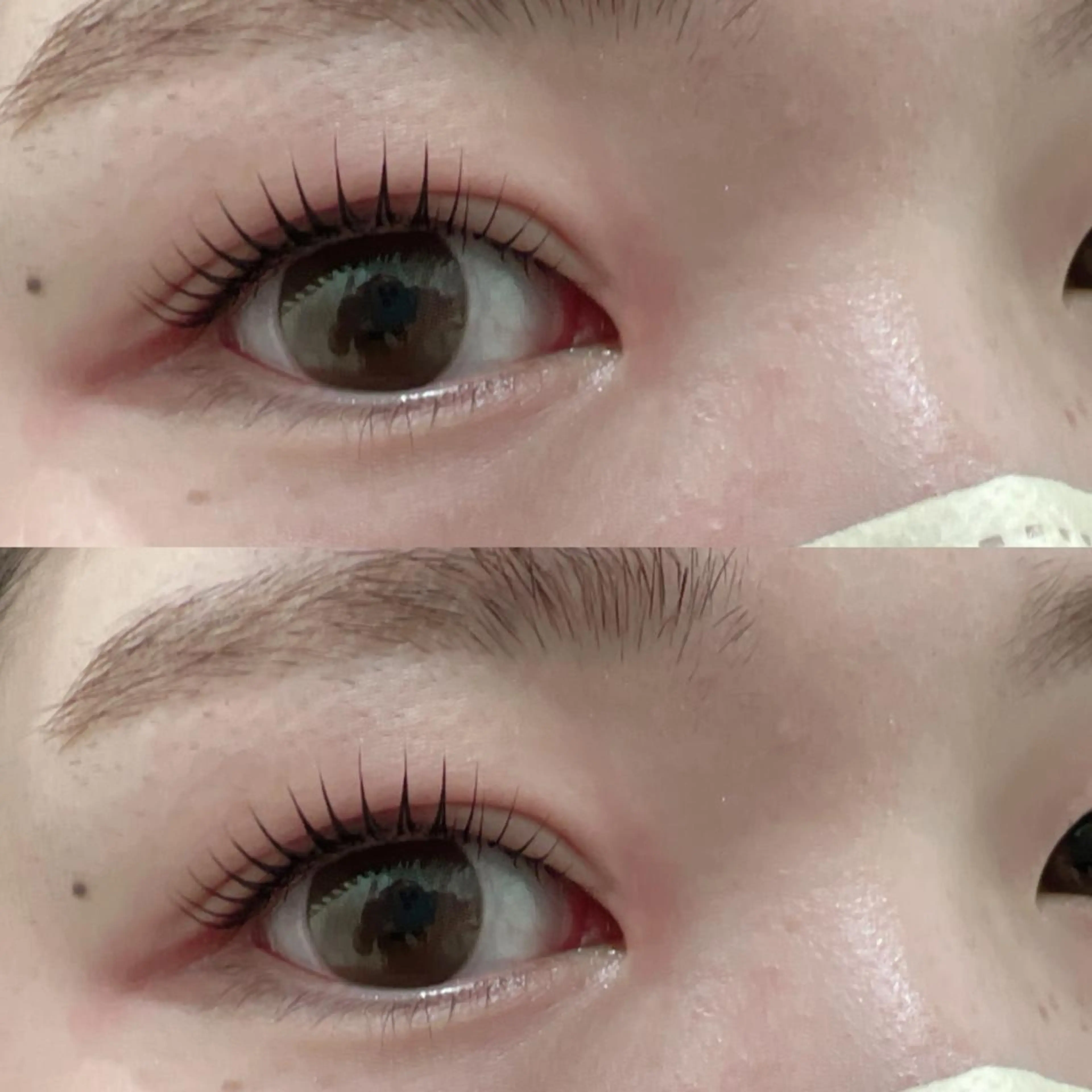 マツエク・マツパ マツパ Bunny eyes NEWOTANI博多のマツエク・マツパデザイン