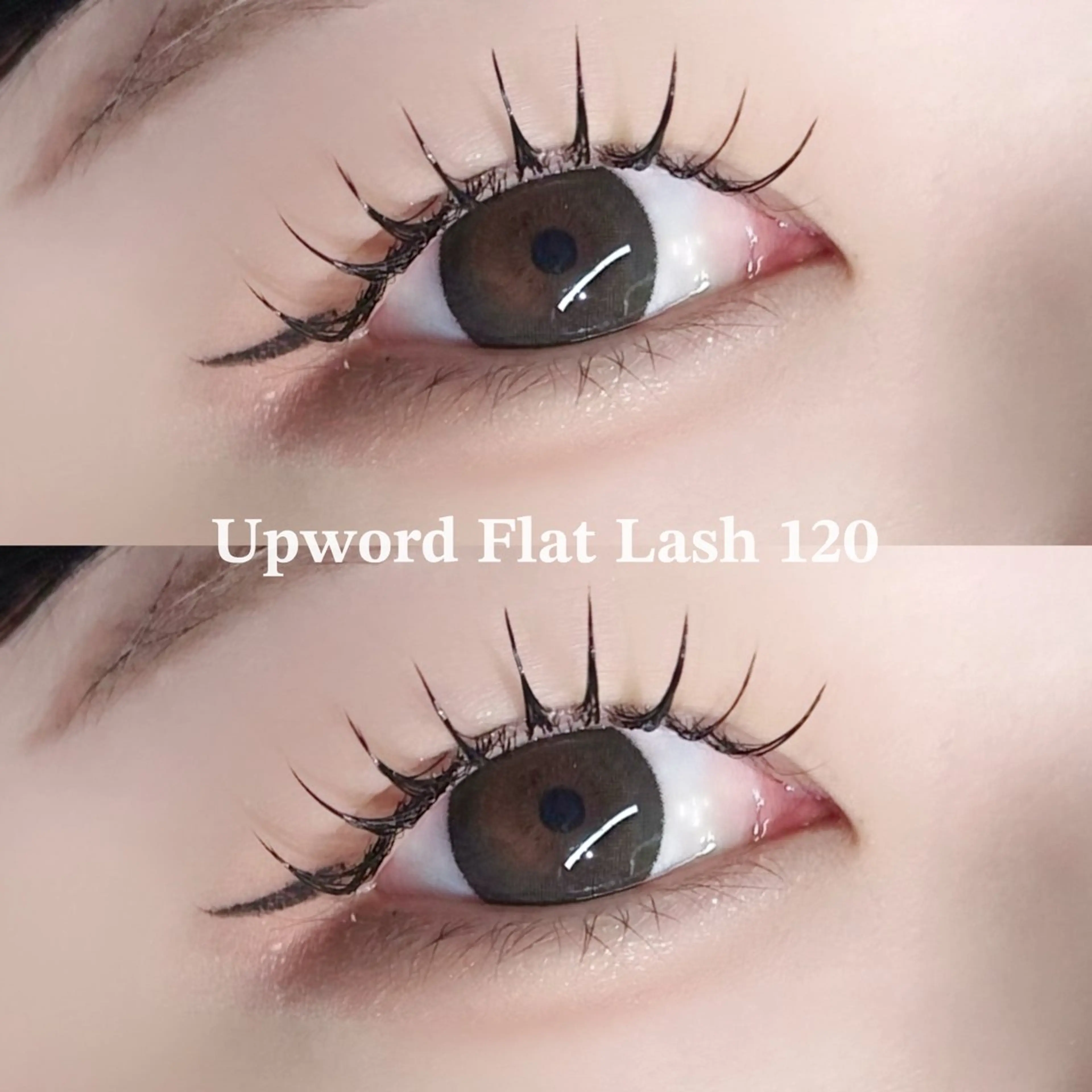 マツエク・マツパ マツエク EYELA熊本 YUIのマツエク・マツパデザイン