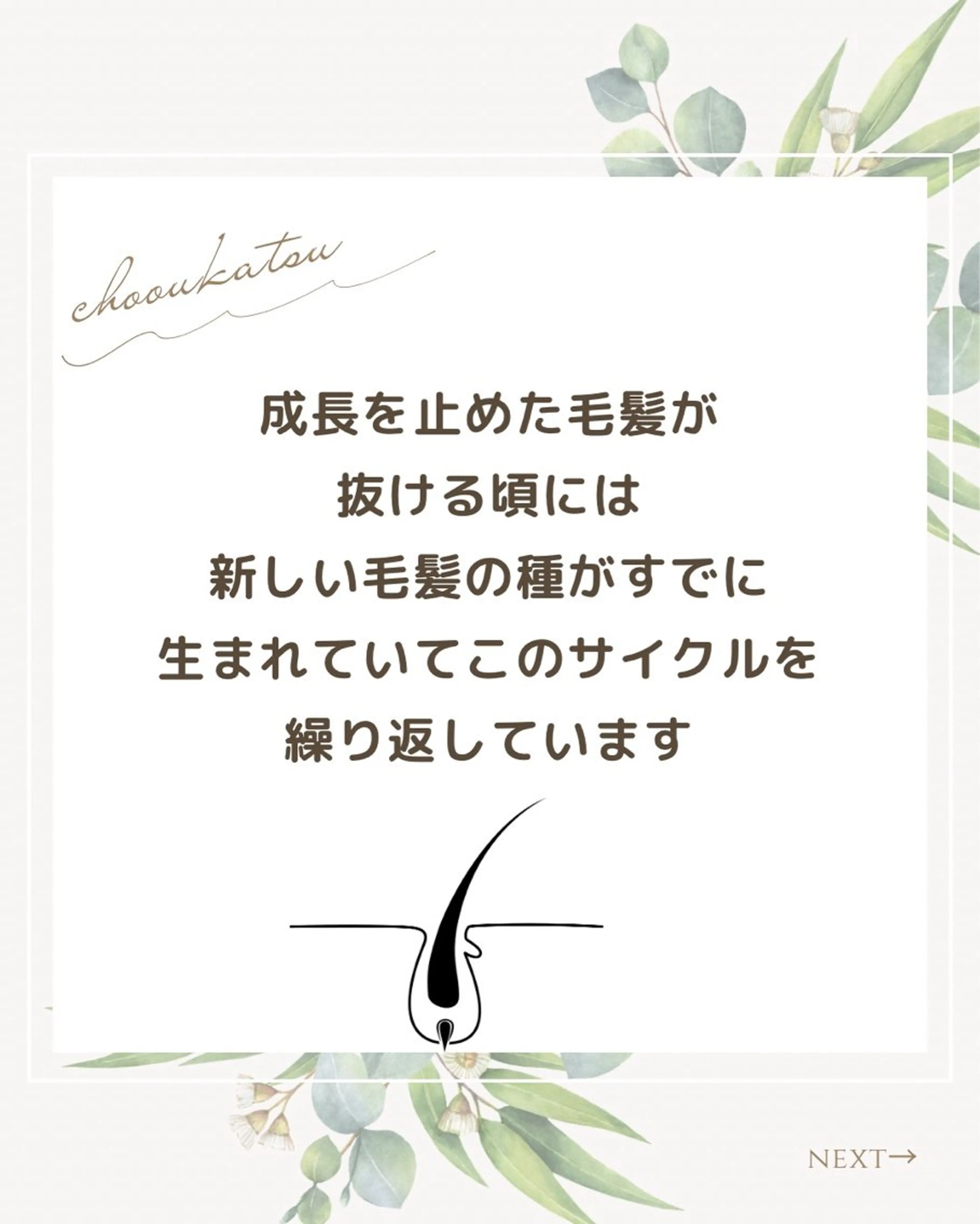 ショート カラー パーマ コゾノ ミキコのヘアスタイル