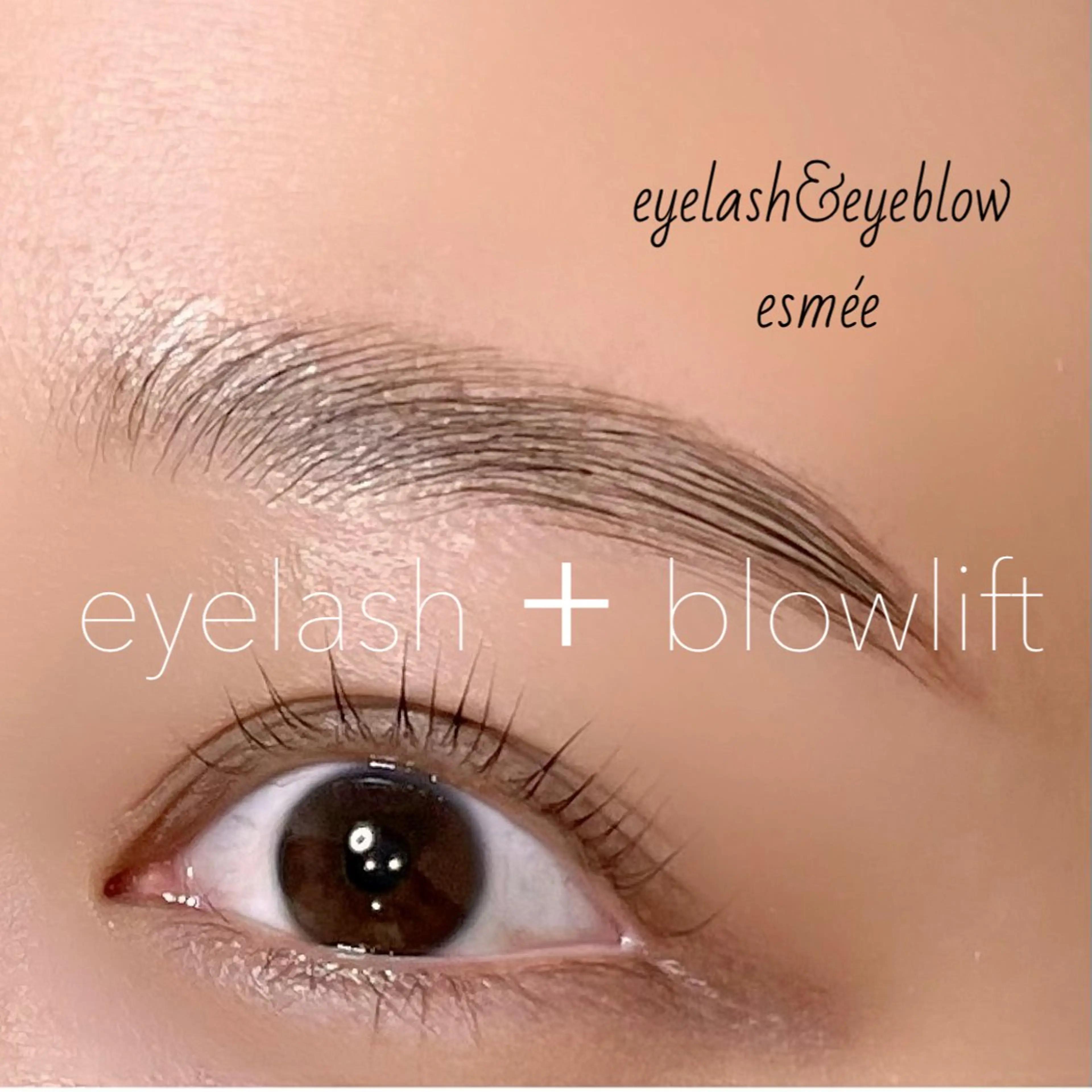 アイブロウ マツパ eyelash&eyeblow 【esmée ASHIYA】所属・丸山 有希のマツエク・マツパデザイン