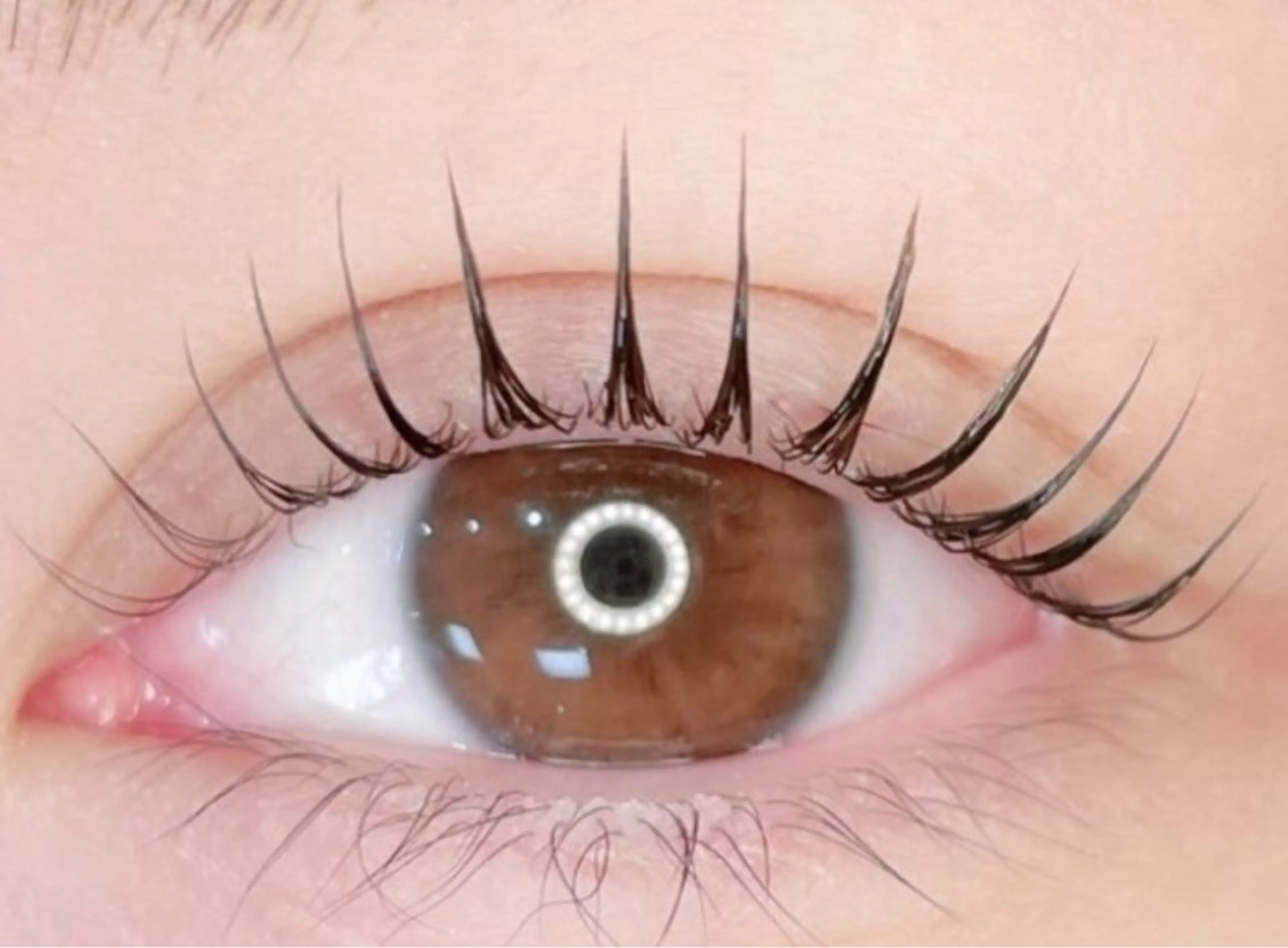 まつ毛パーマ(ラッシュリフト)の写真