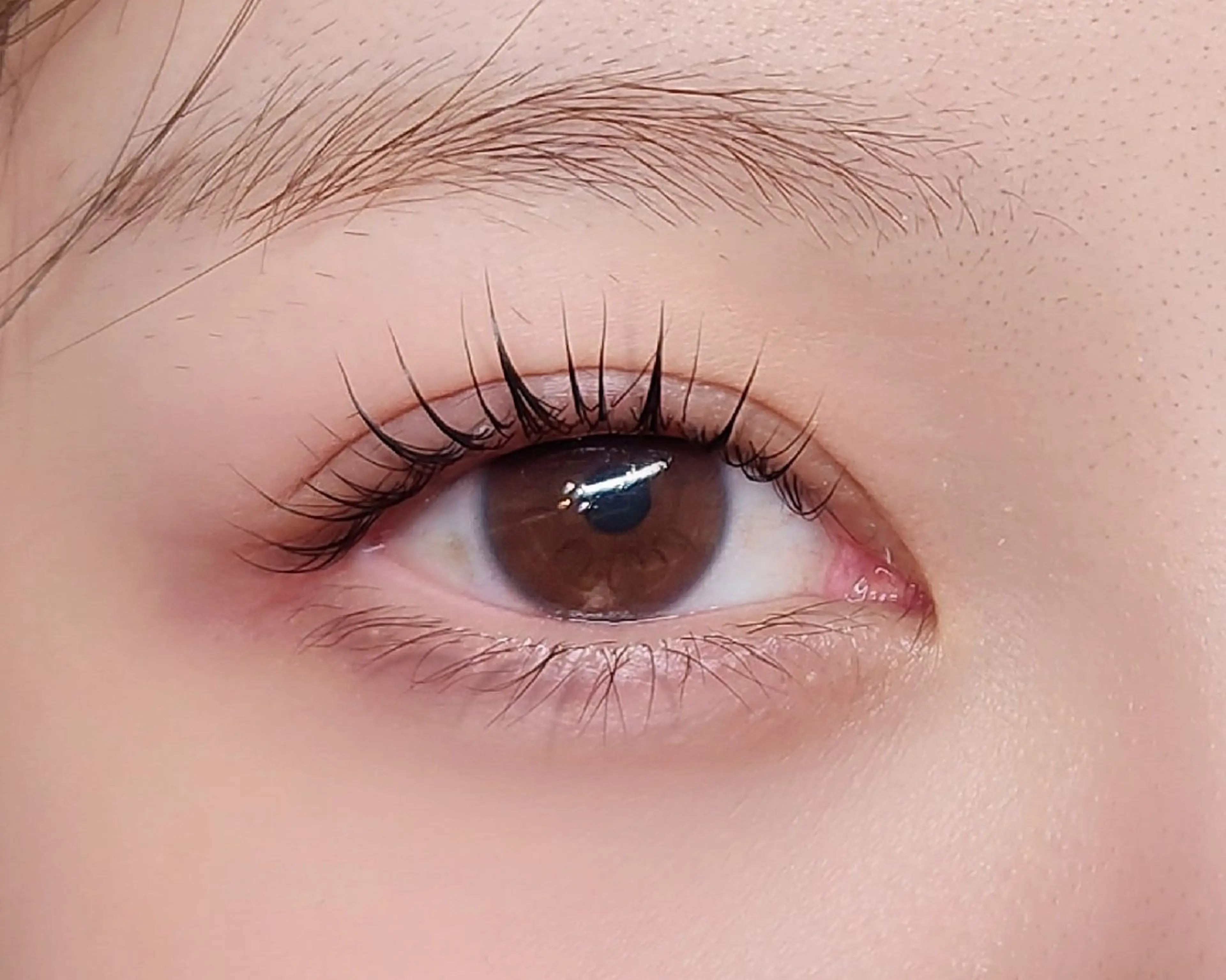 マツエク・マツパ アイラッシュ コペル【Copel】所属・個室サロンcopel 　kishimotoのマツエク・マツパデザイン