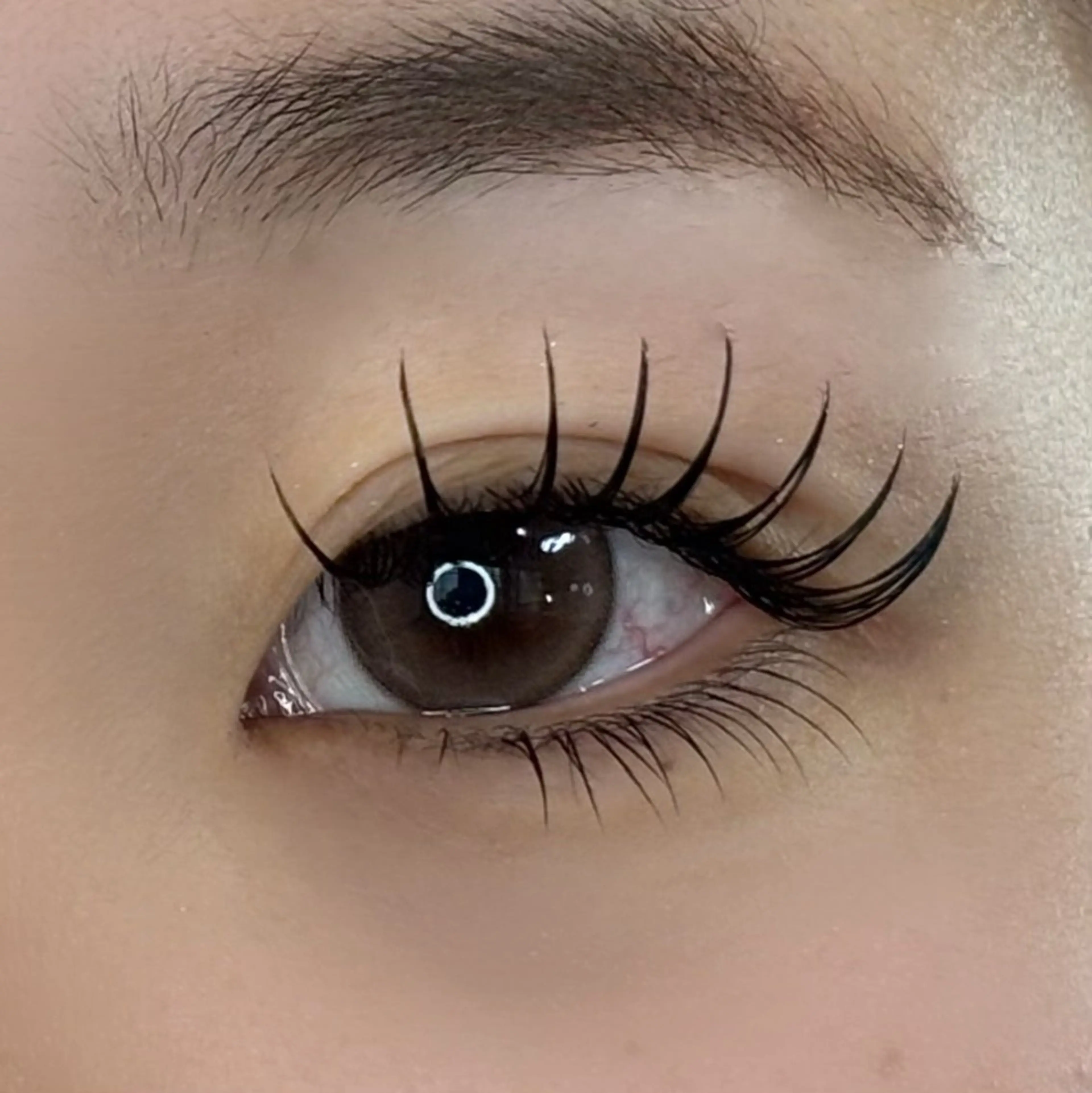 LEDエクステ🪽フラットラッシュ100本の写真