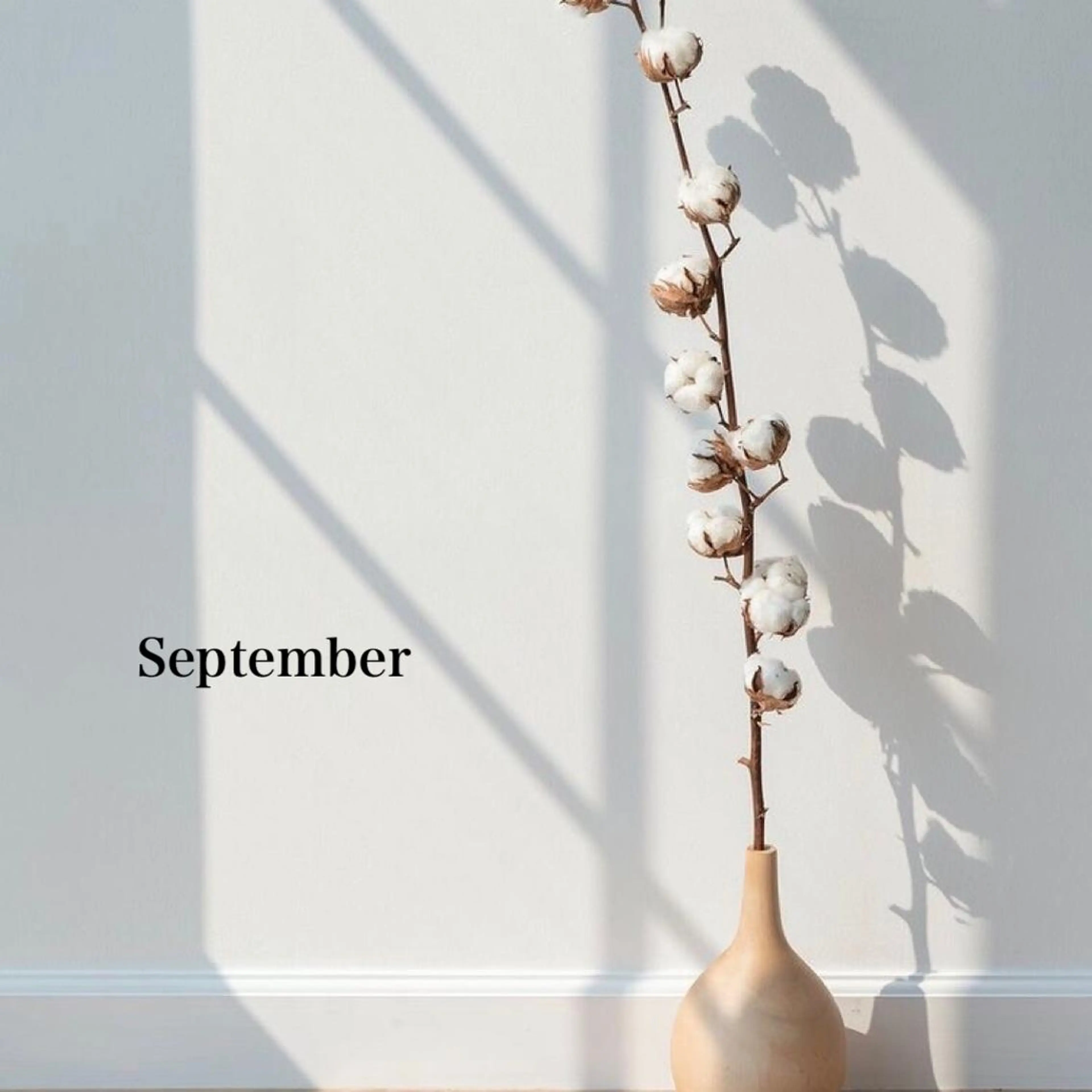 マツエク・マツパ マツパ 浦和駅近完全個室 Michikoのマツエク・マツパデザイン