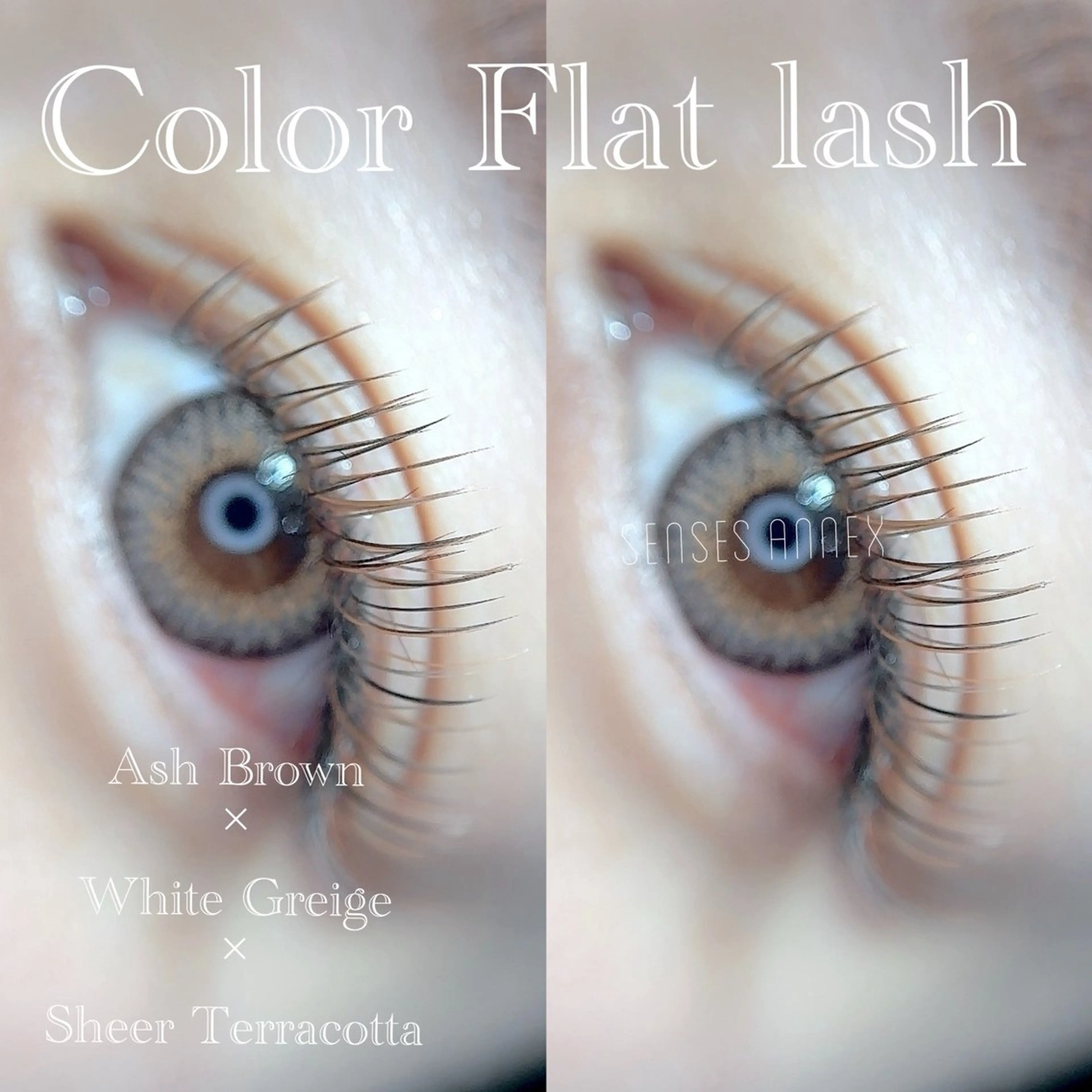 ◇カラーフラットラッシュ付け放題◇全41色🎨コーティング剤／ヘッドマッサージ付✳︎の写真