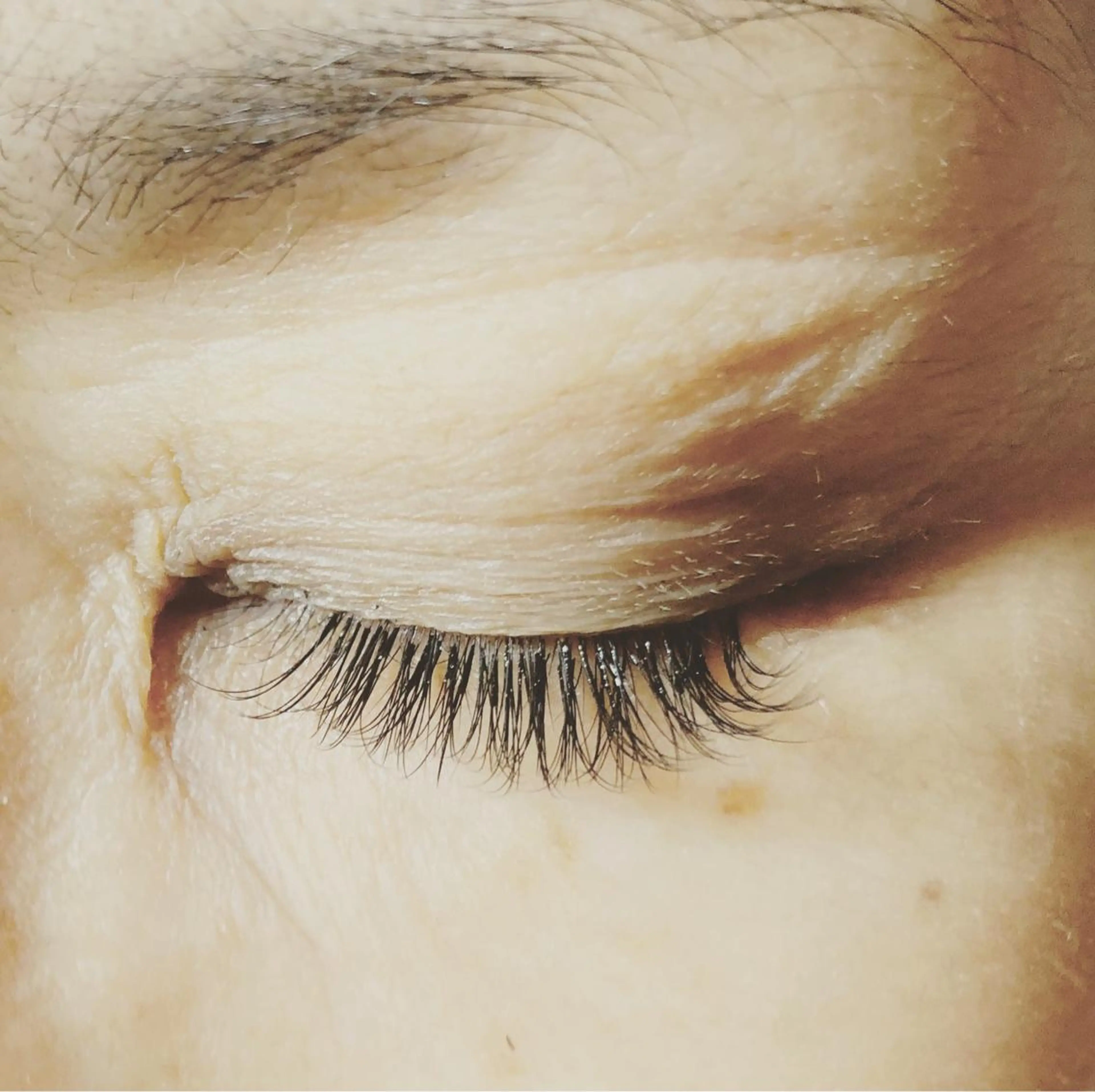 マツエク・マツパ Adore.ca所属・アドアー Adore.caのマツエク・マツパデザイン