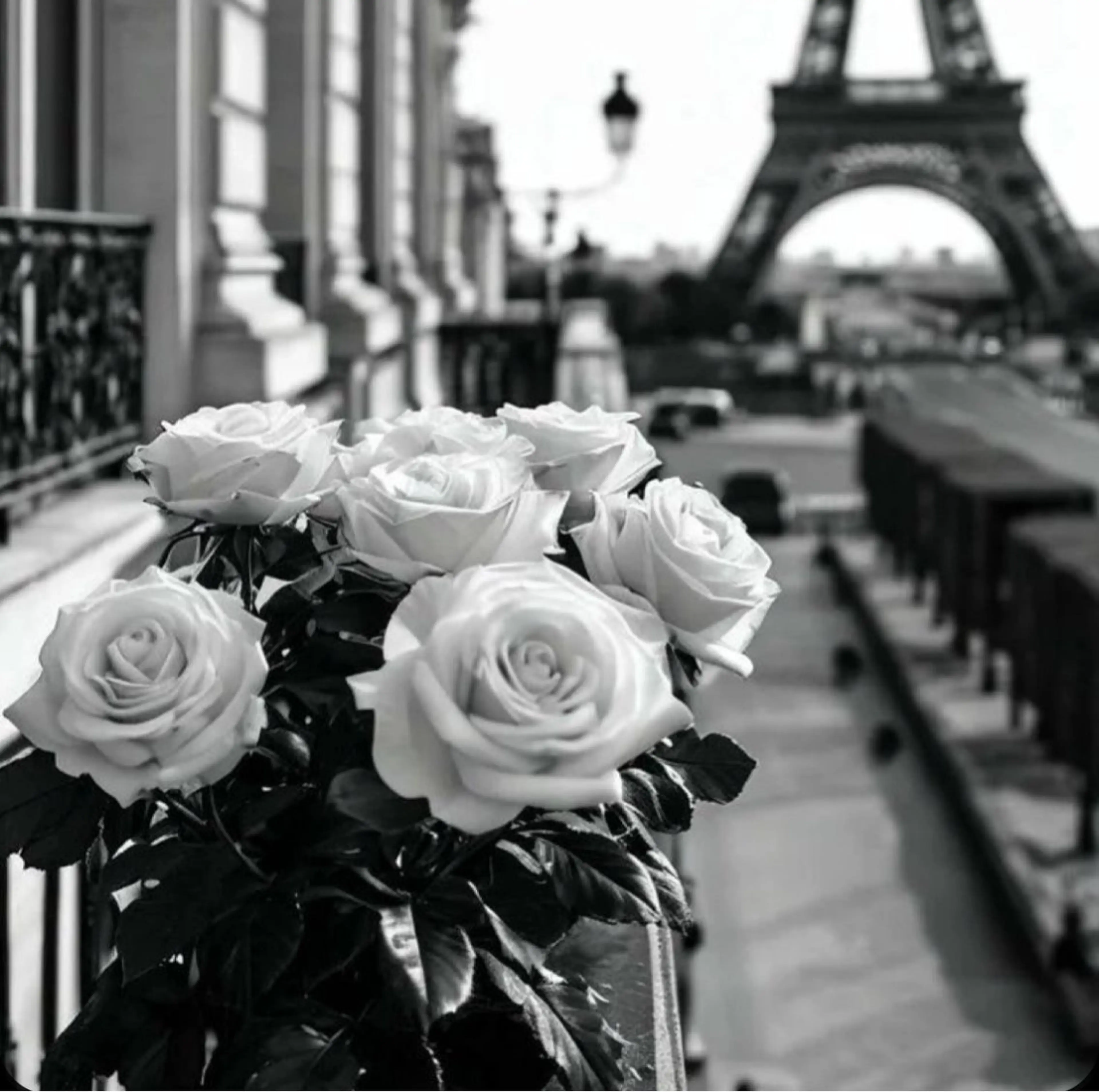 ᴍɪɴᴀ．‪‪ 🐈‍⬛のマツエク・マツパデザイン