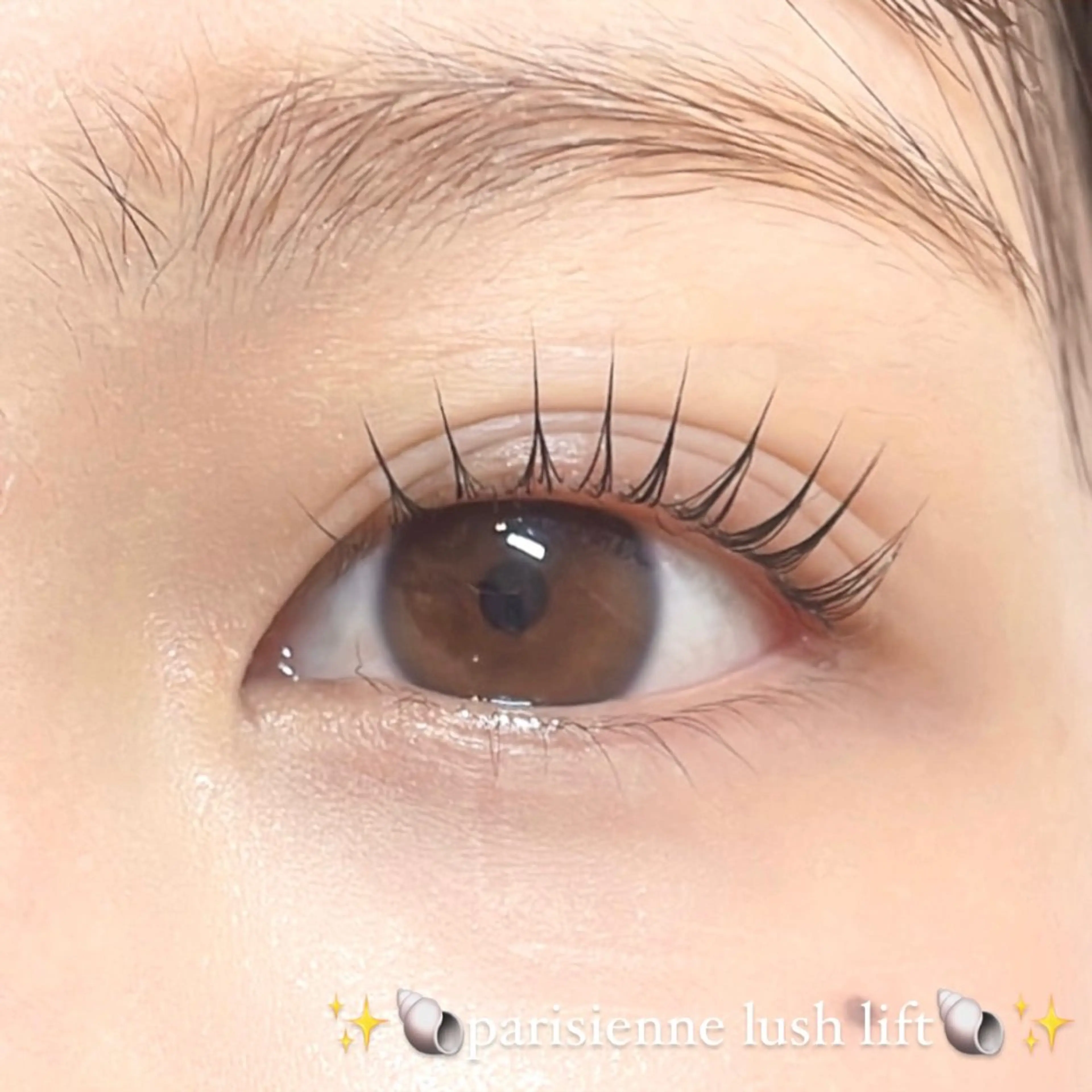 マツエク・マツパ AYAKA🤍 まつ毛パーマのマツエク・マツパデザイン