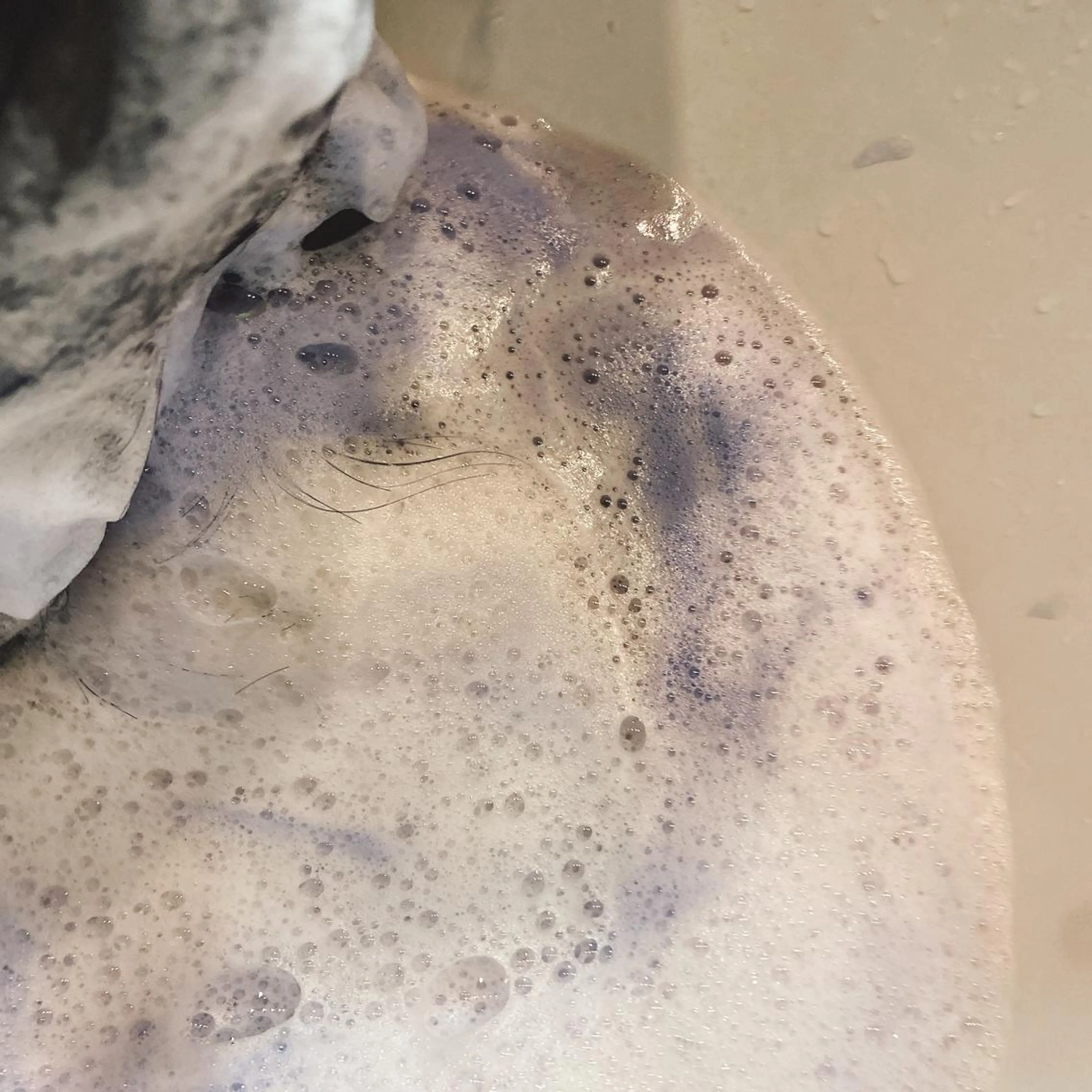 カラー ⚜️KIRIKA中野 HARADA👼🏻のヘアスタイル