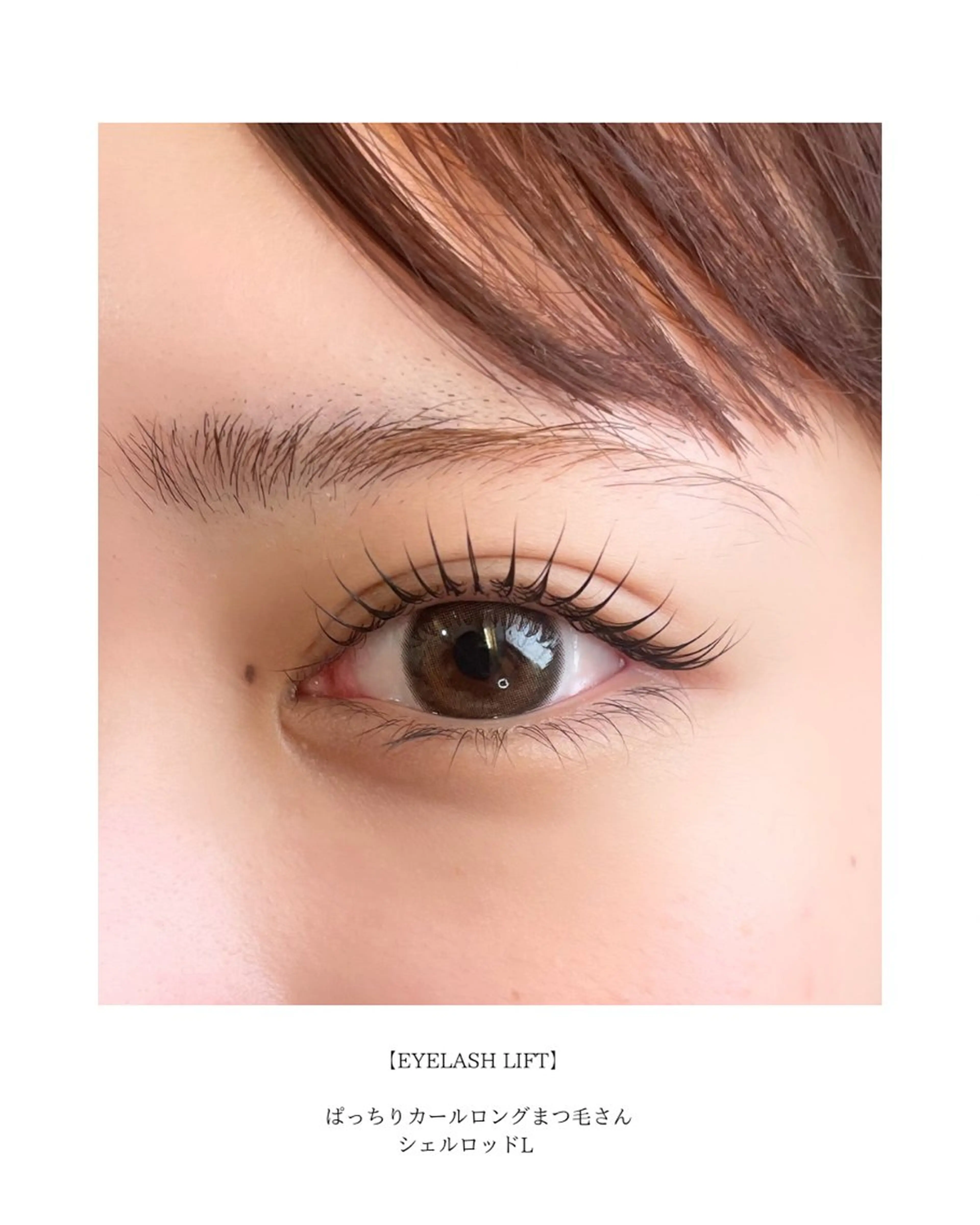 🦋限定贅沢メニュー🫧 まつ毛パーマ上（コーティング付）+3cmミニジャグアの写真