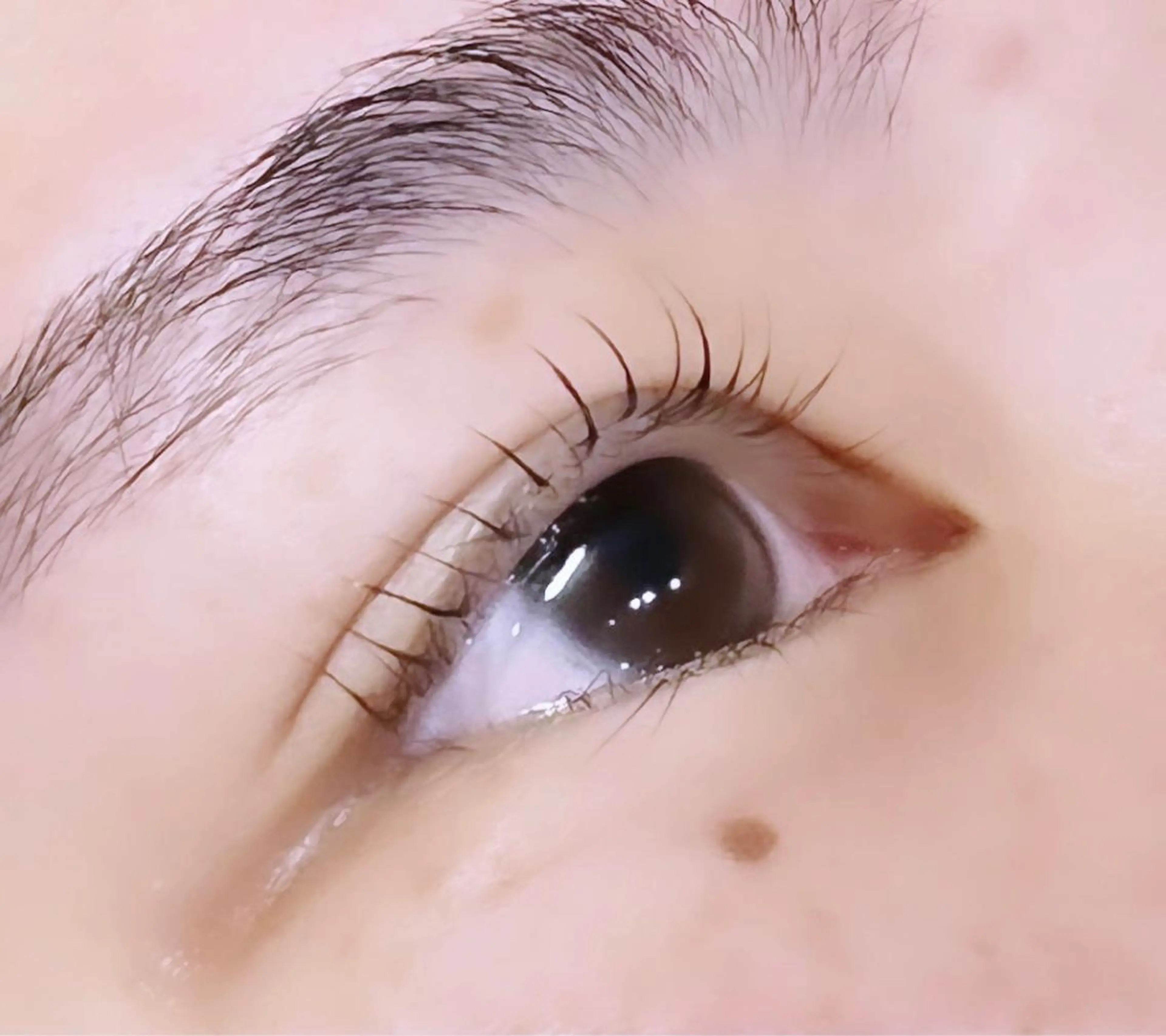 パーマ クレアラルーチェ姫路英賀保店所属・クレアラルーチェ 姫路英賀保店のマツエク・マツパデザイン