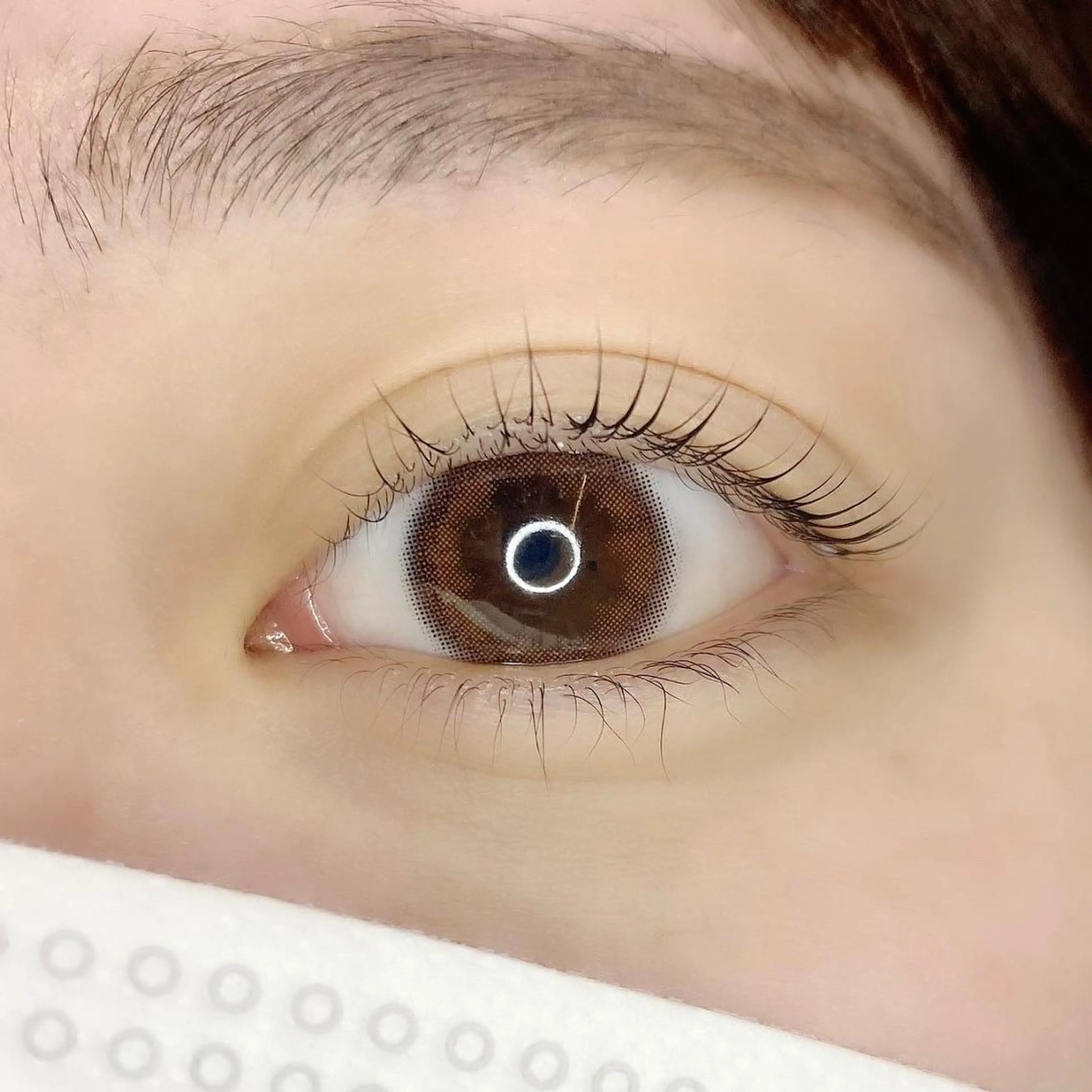 マツエク・マツパ フラットラッシュ パリジェンヌラッシュリフト まつげパーマ ボリュームラッシュ KURUMI🦋 まつエクまつパ美眉のマツエク・マツパデザイン