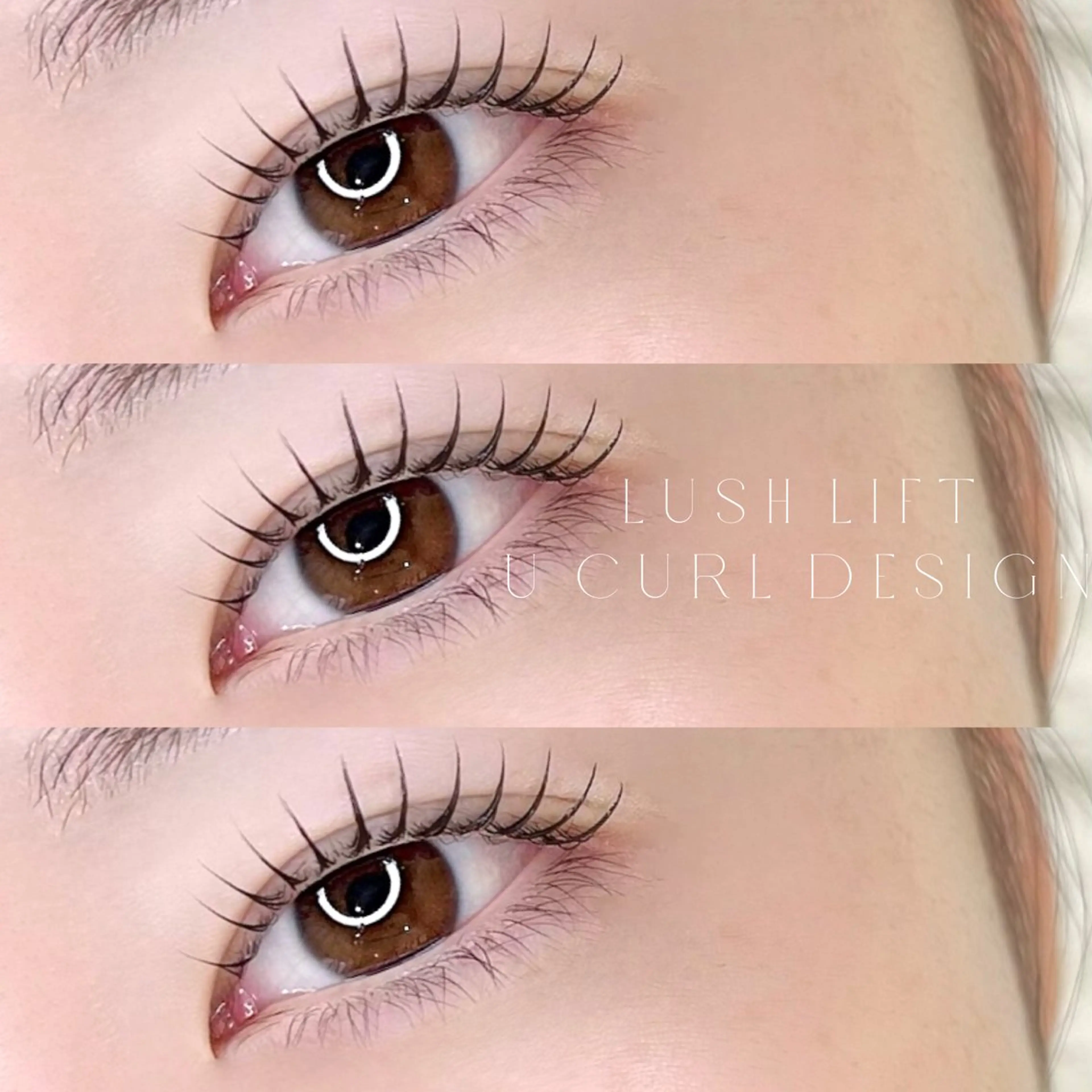 まつげパーマ or パリジェンヌラッシュリフト୨୧の写真