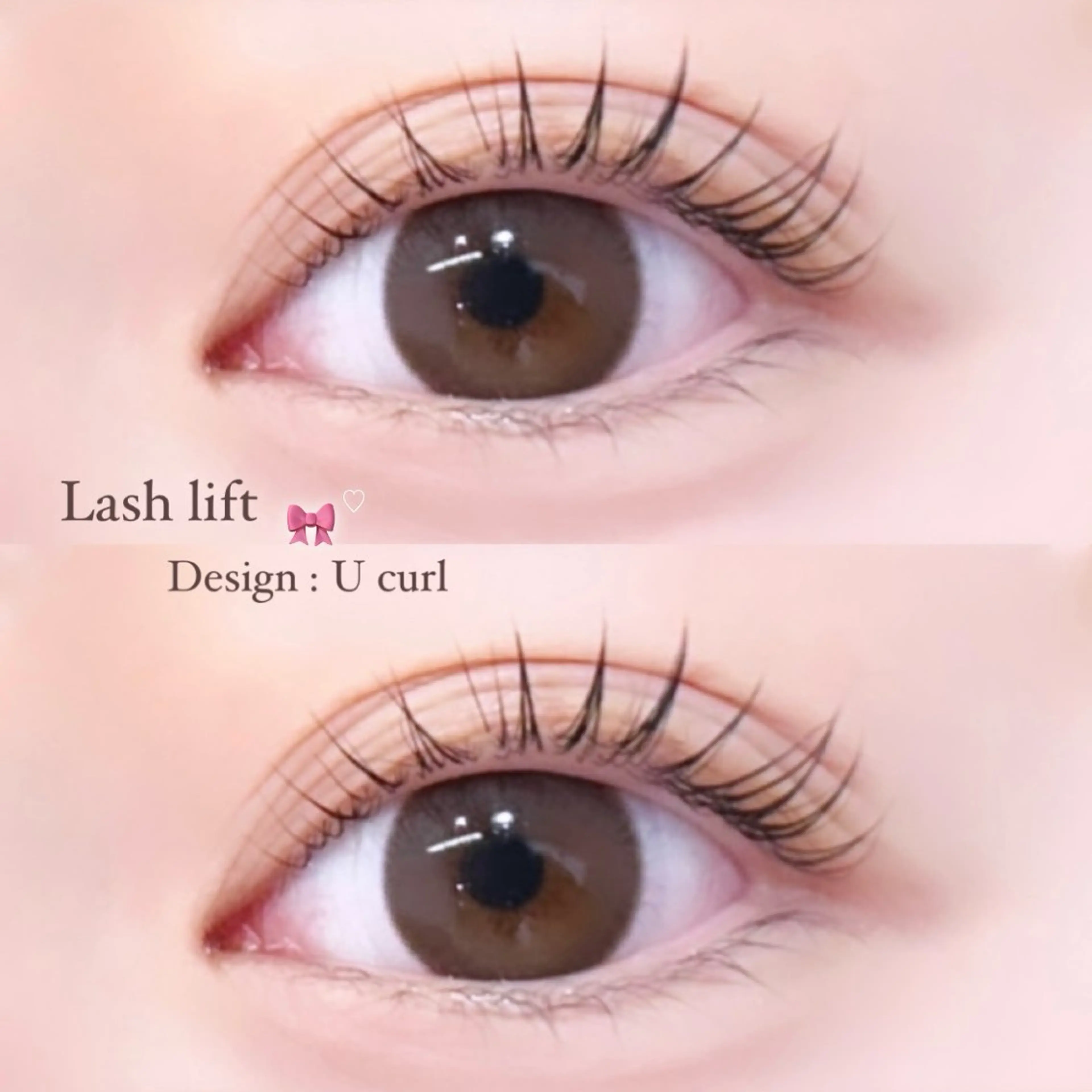 マツエク・マツパ eye__shu🥀 island 鎌倉の眉毛・アイブロウイメージ