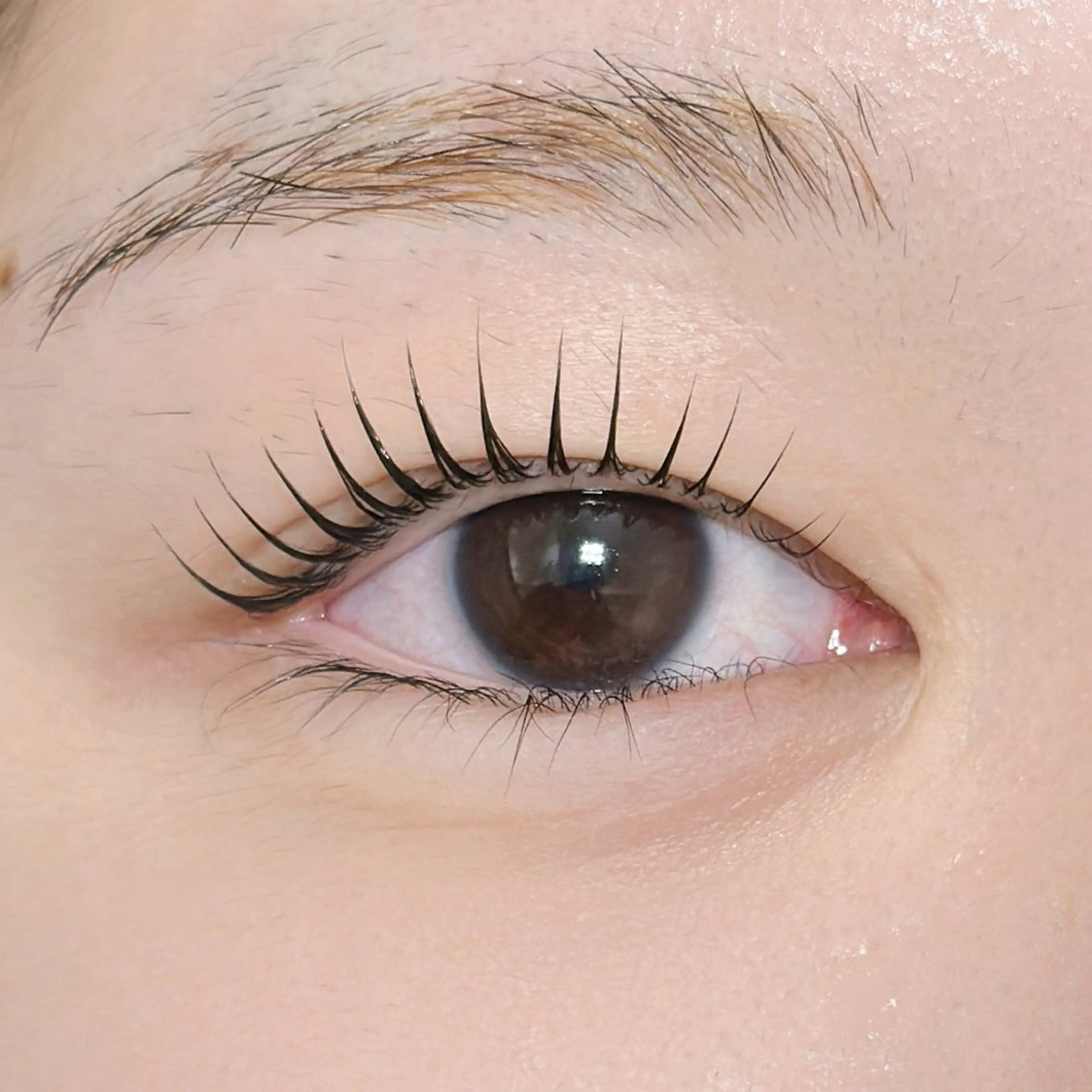 マツエク・マツパ GO TODAY Iris表参道店所属・sasaki shinjuの眉毛・アイブロウイメージ