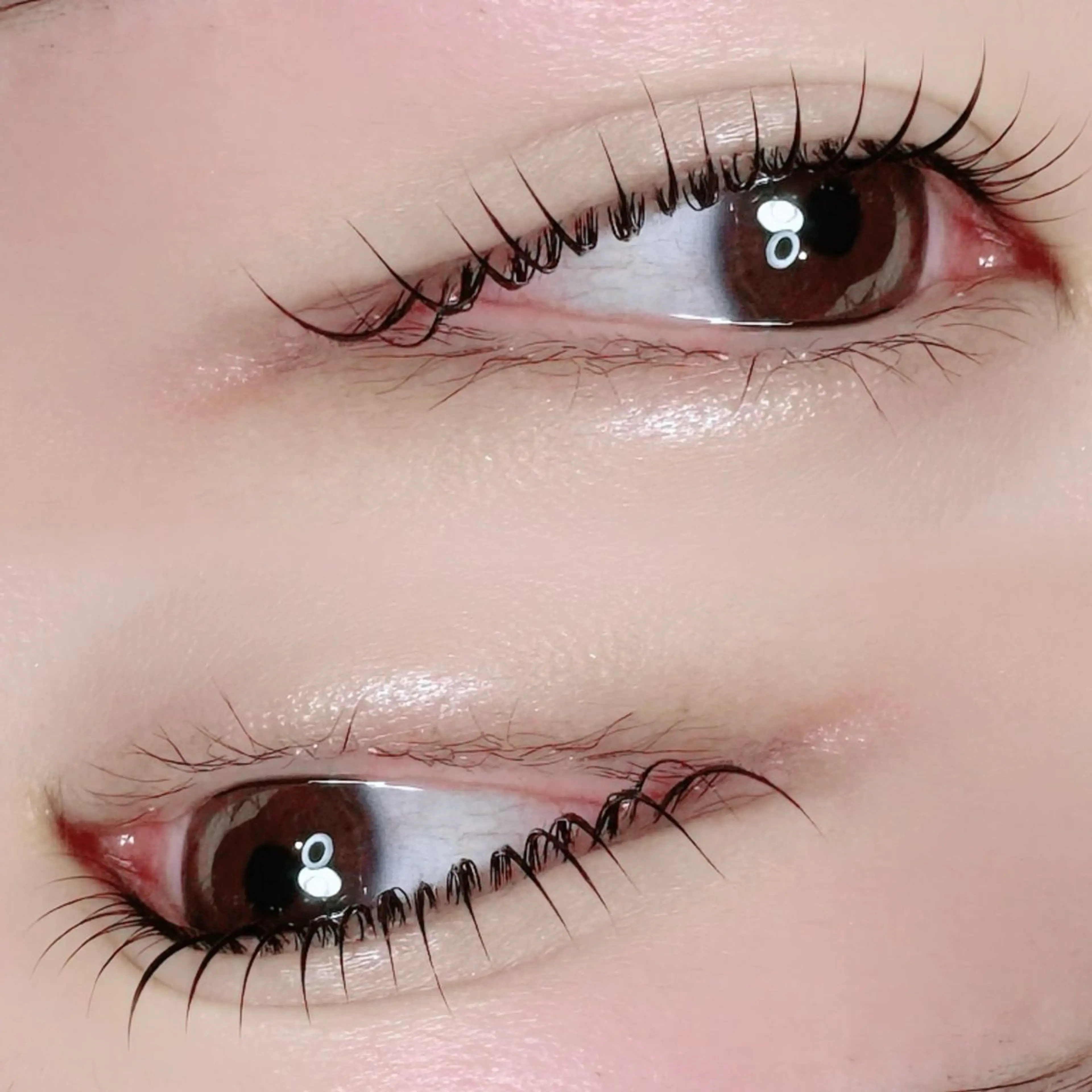 マツエク・マツパ mignon /まつげパーマ/眉毛のエステ・リラクイメージ