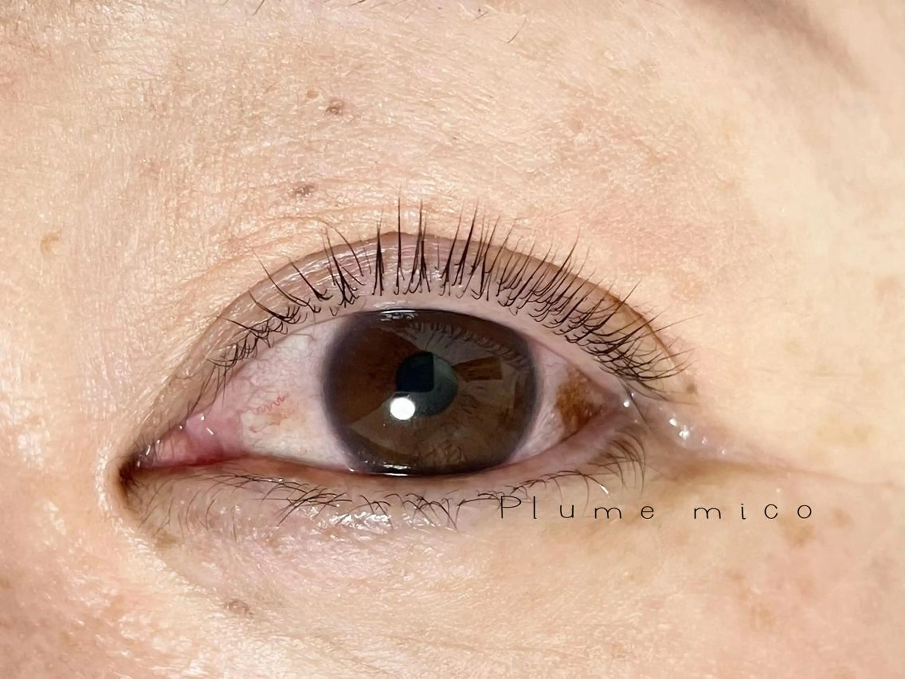 マツエク・マツパ マツパ Plume micoのマツエク・マツパデザイン