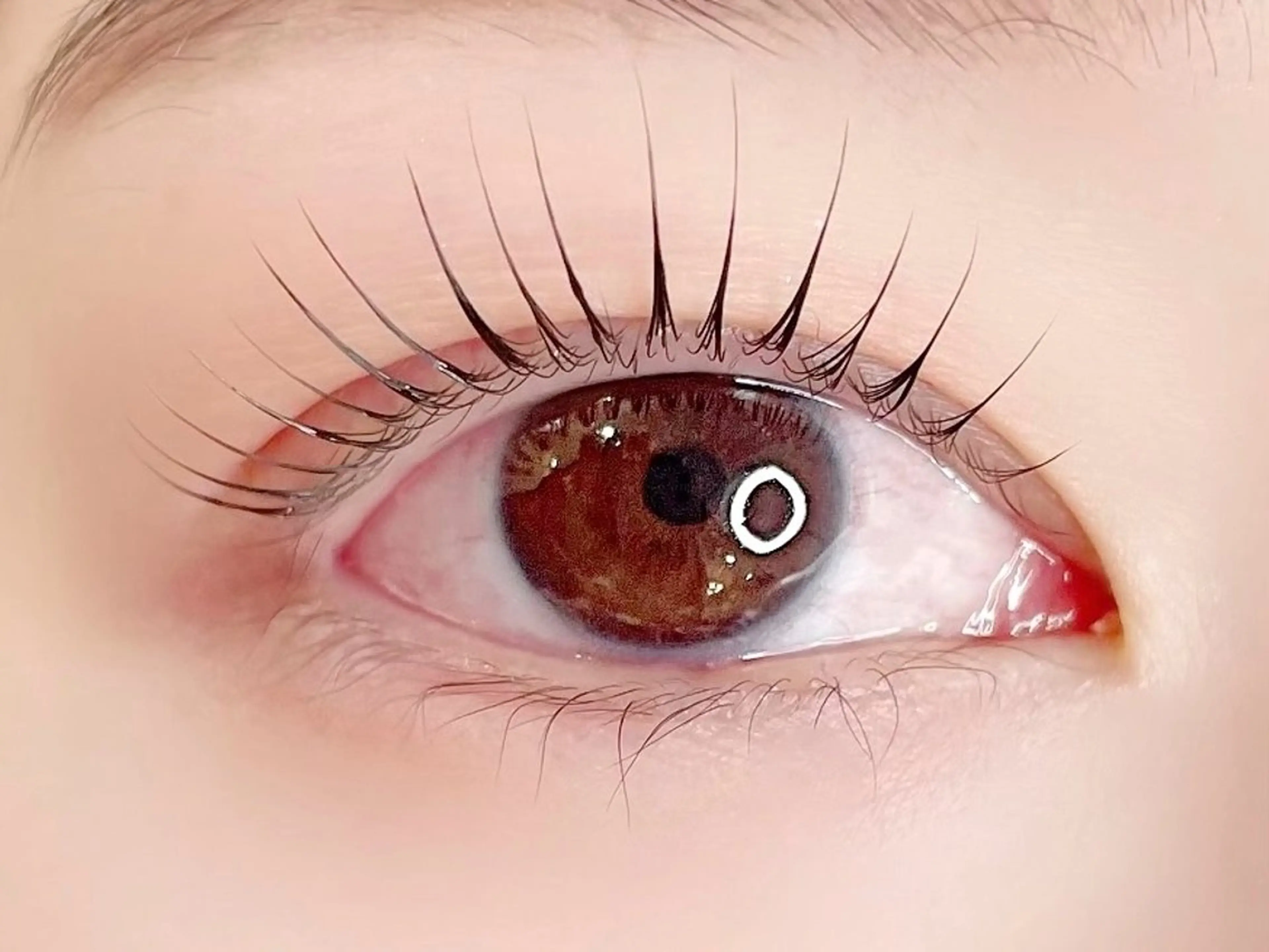 マツエク・マツパ マツパ eclat ANJUの眉毛・アイブロウイメージ