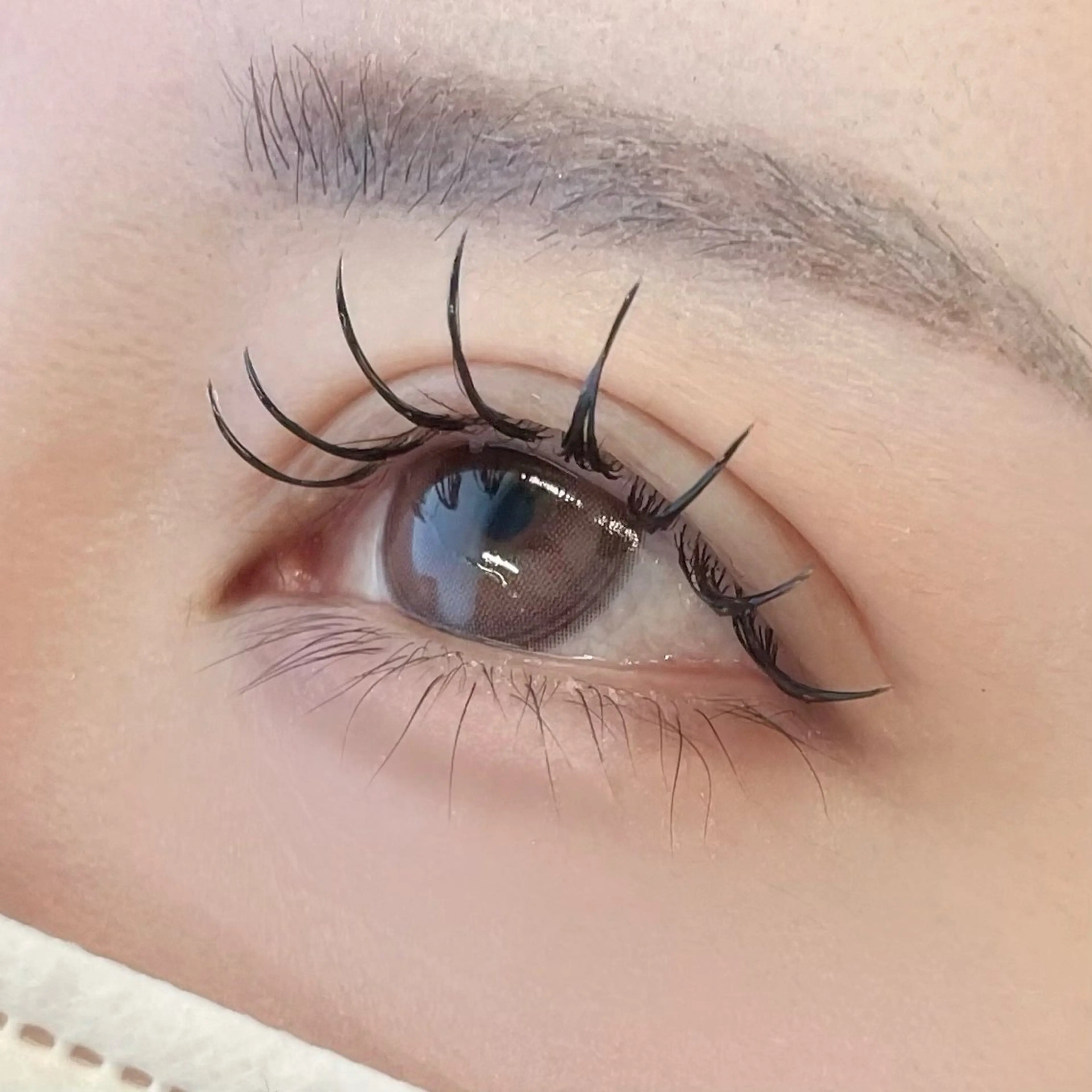 《💫新規限定💫》🎀パリエク80本🎀パリジェンヌ+フラットラッシュ80本の写真