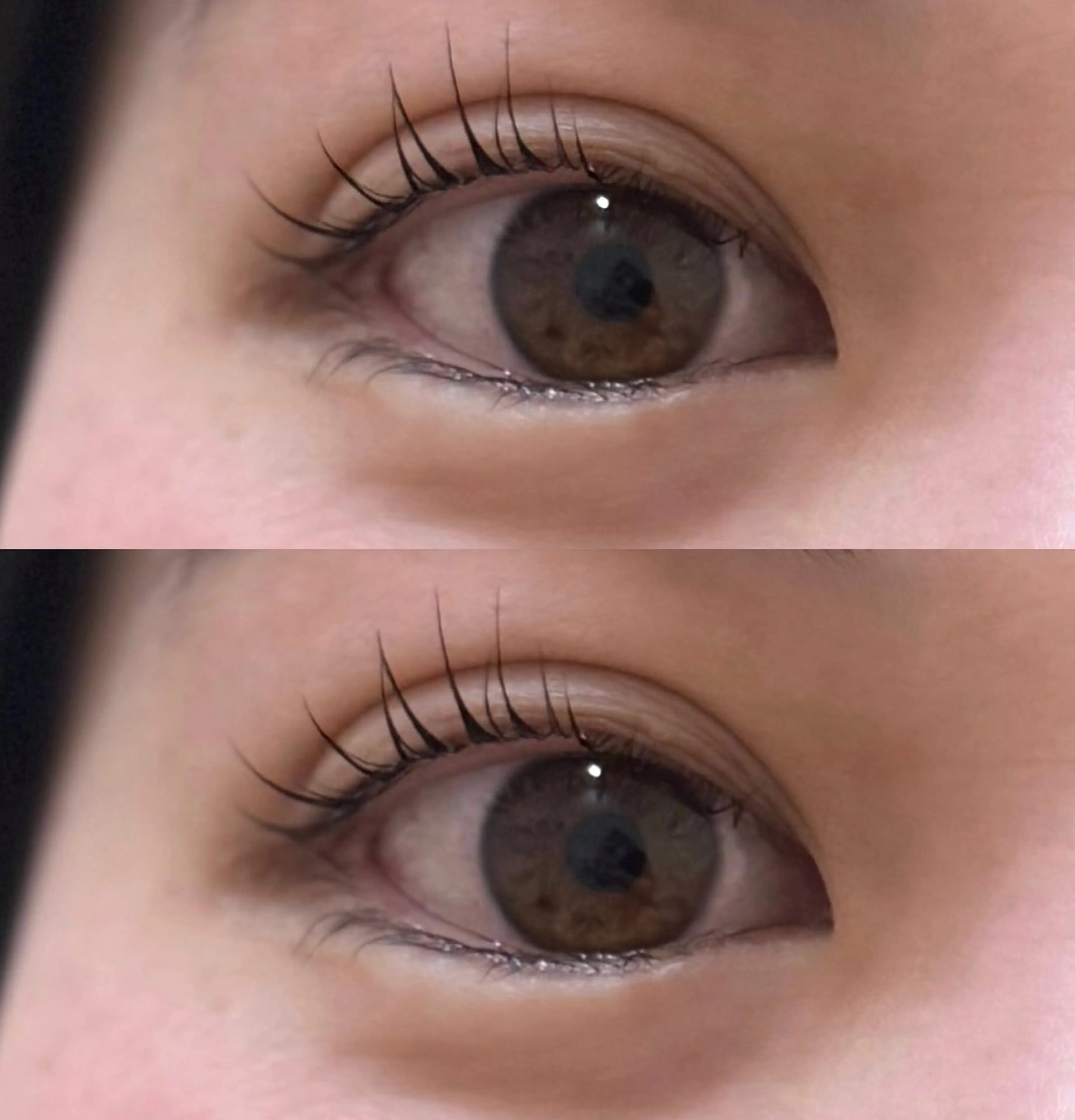 セラムラッシュリフト🪽練習モデルの写真