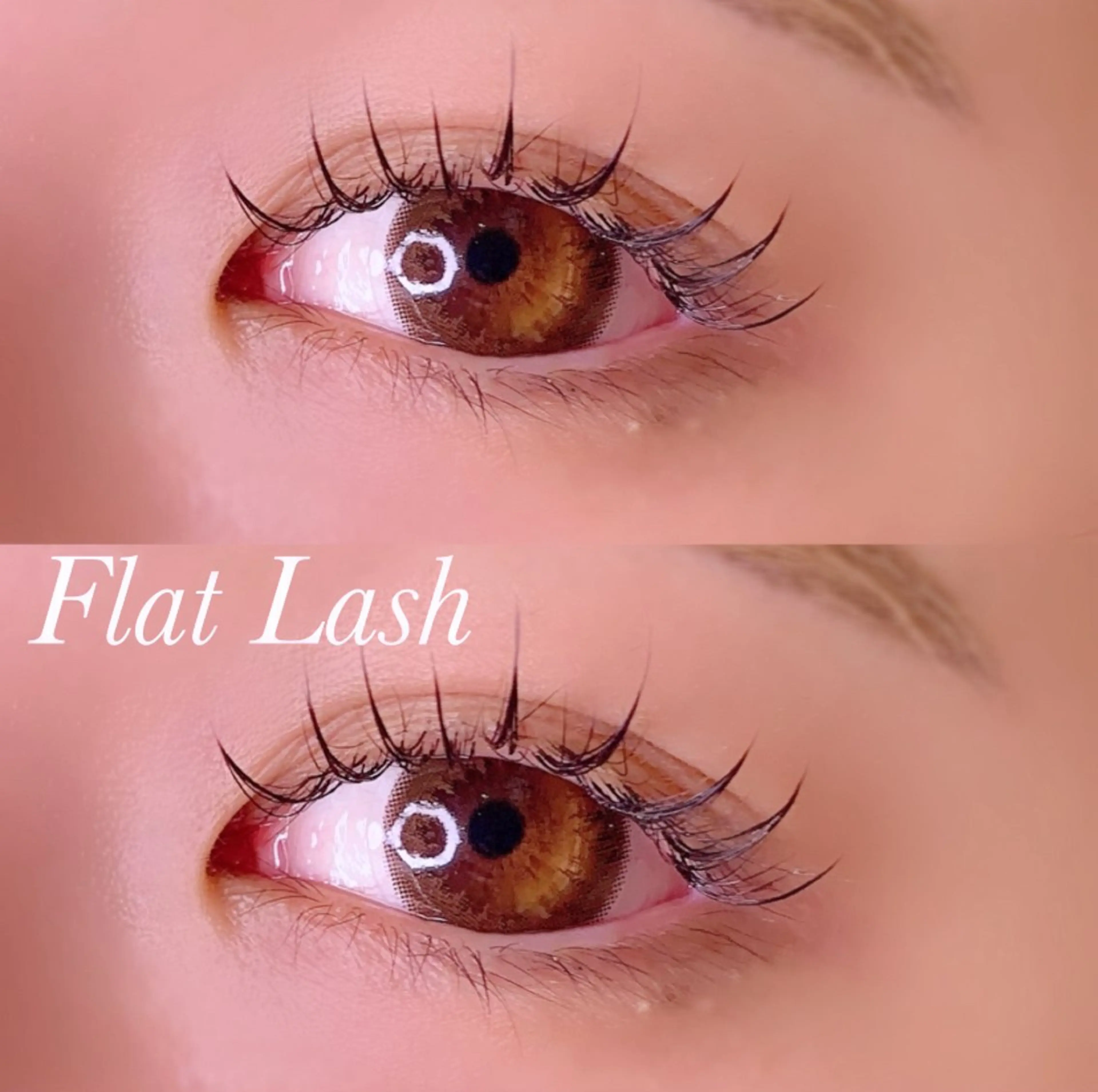 マツエク・マツパ Cカール フラットラッシュ マツエク Ayumi.pro 🍆N《4階》のマツエク・マツパデザイン