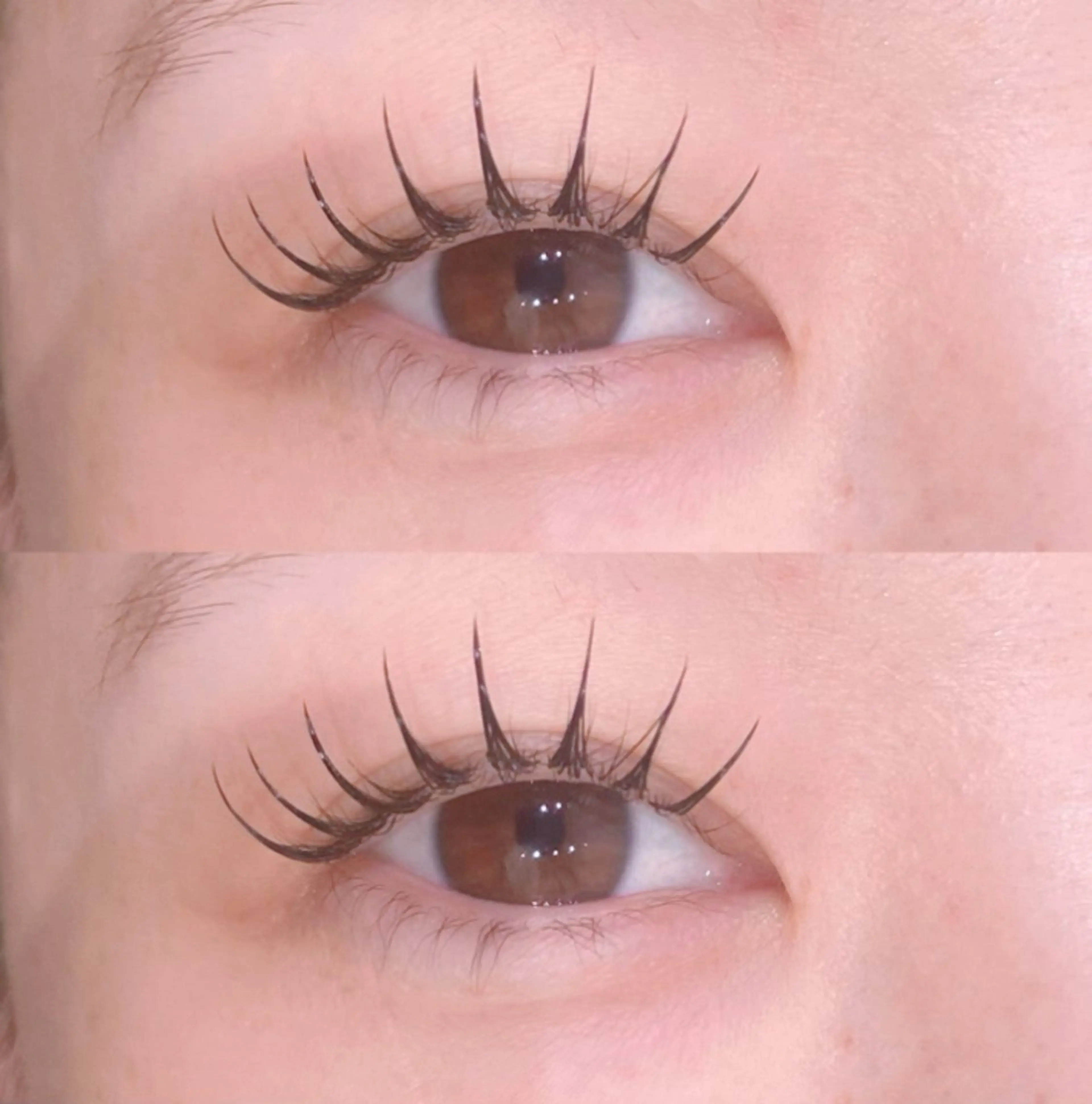 【12月限定🎄】LEDマツエク/フラットラッシュ80​〜​120本¥6800の写真