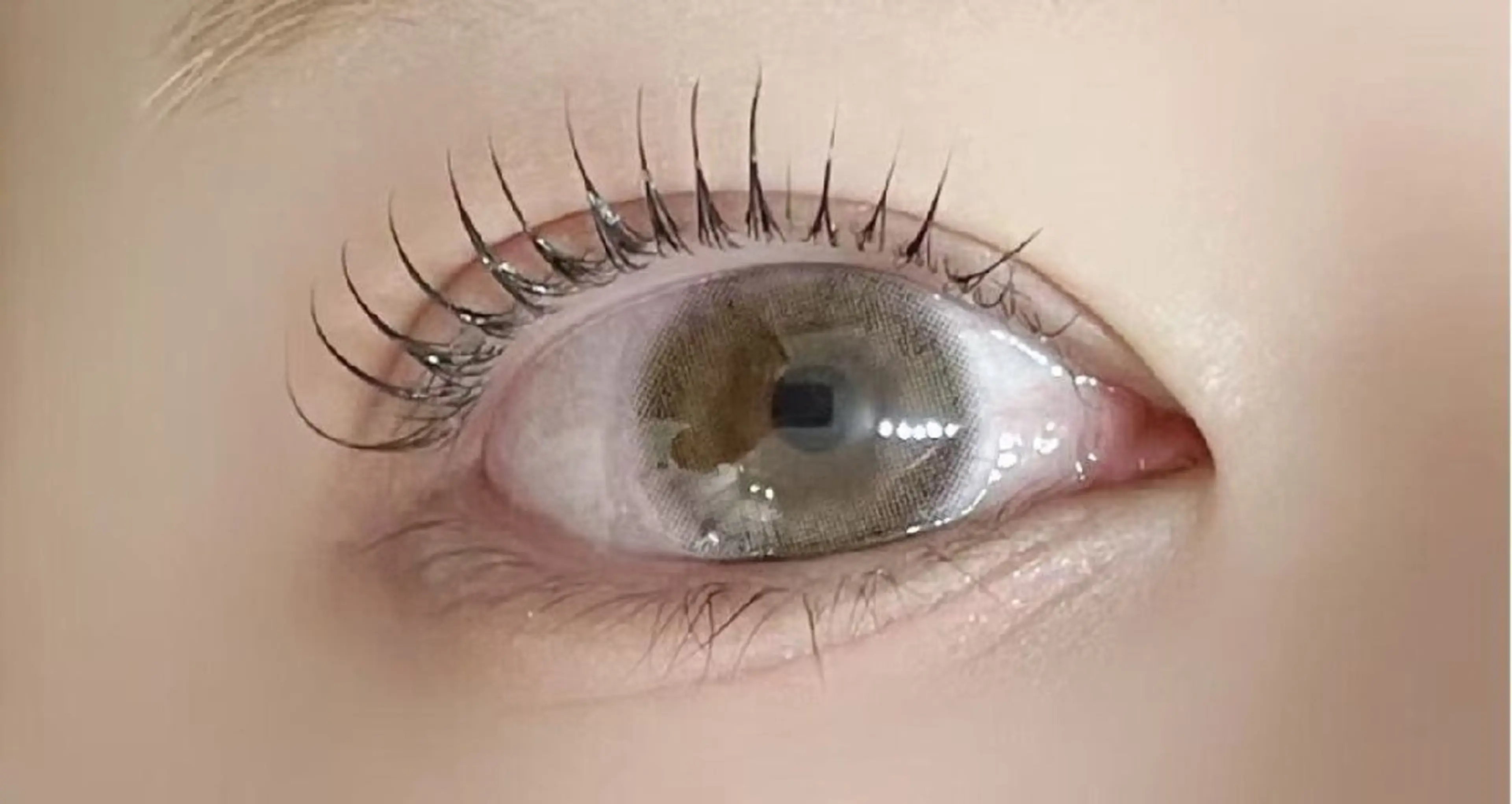 マツエク・マツパ アレグレス所属・アレグレス@池袋 🌹大人気店🌹のマツエク・マツパデザイン