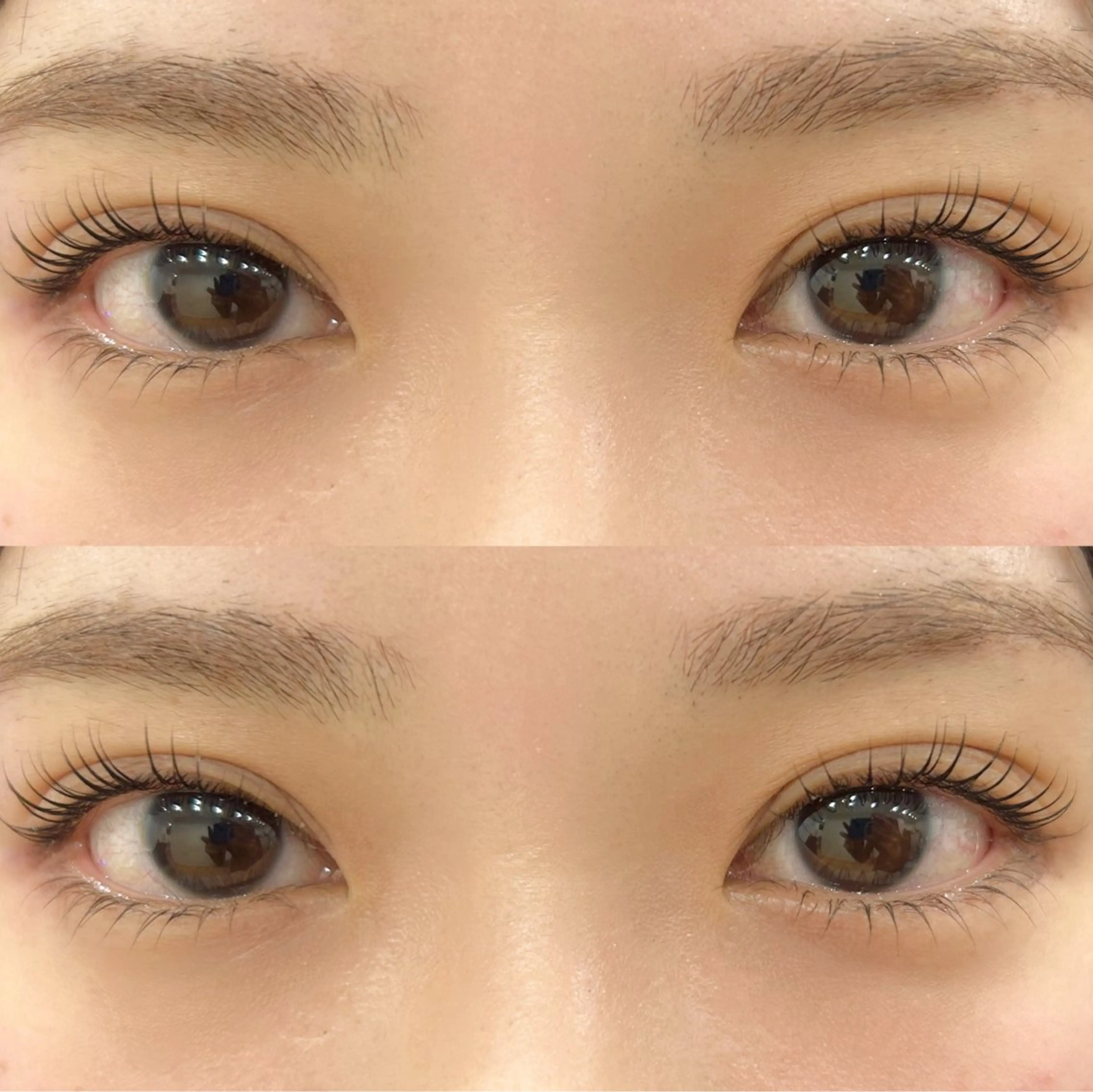 コーティング仕上げ⋆꙳ラッシュリフト《上まつ毛パーマ》🎀ིྀ꙳☄︎⋆꙳の写真