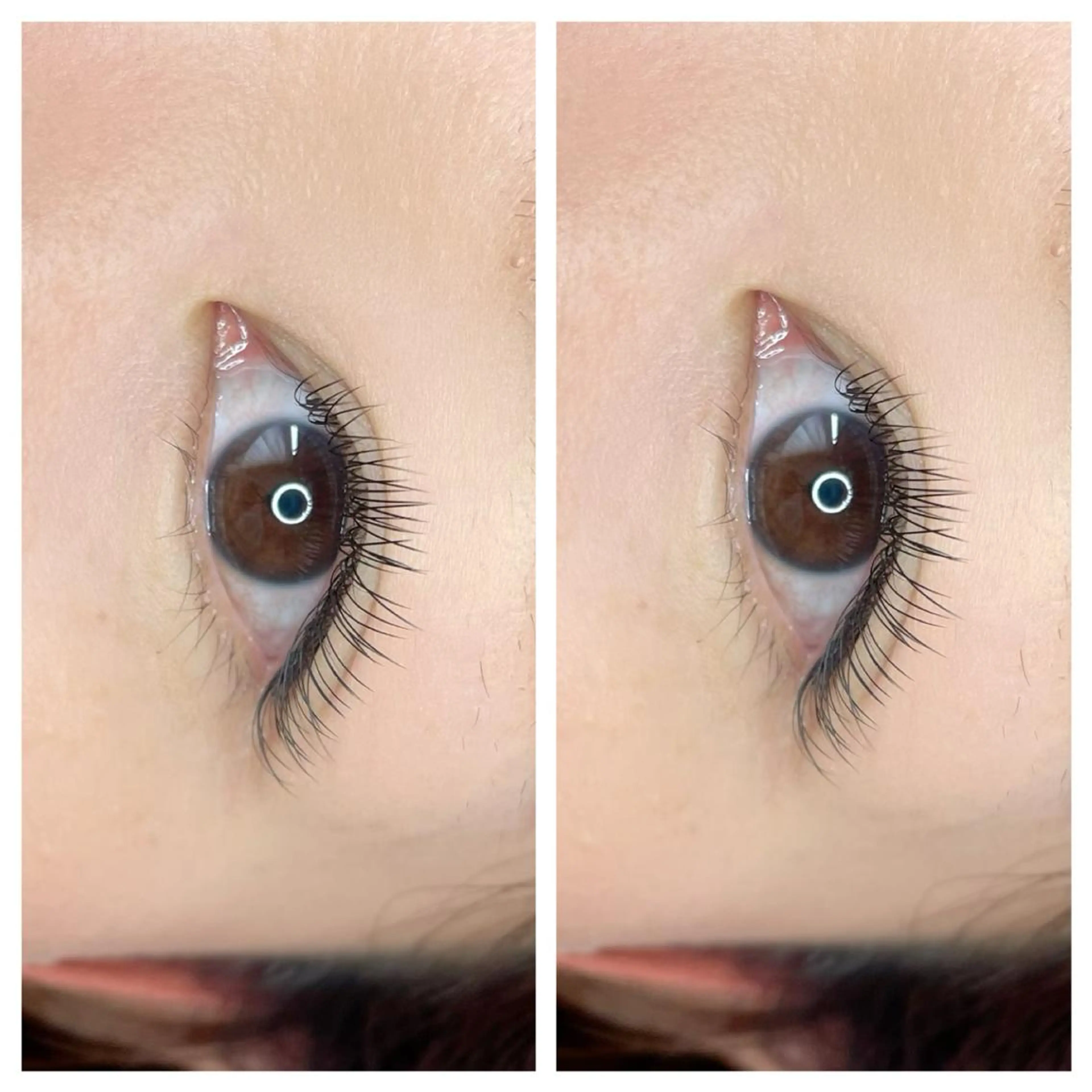 マツエク・マツパ マツエク aimer所属・高山 真央のマツエク・マツパデザイン