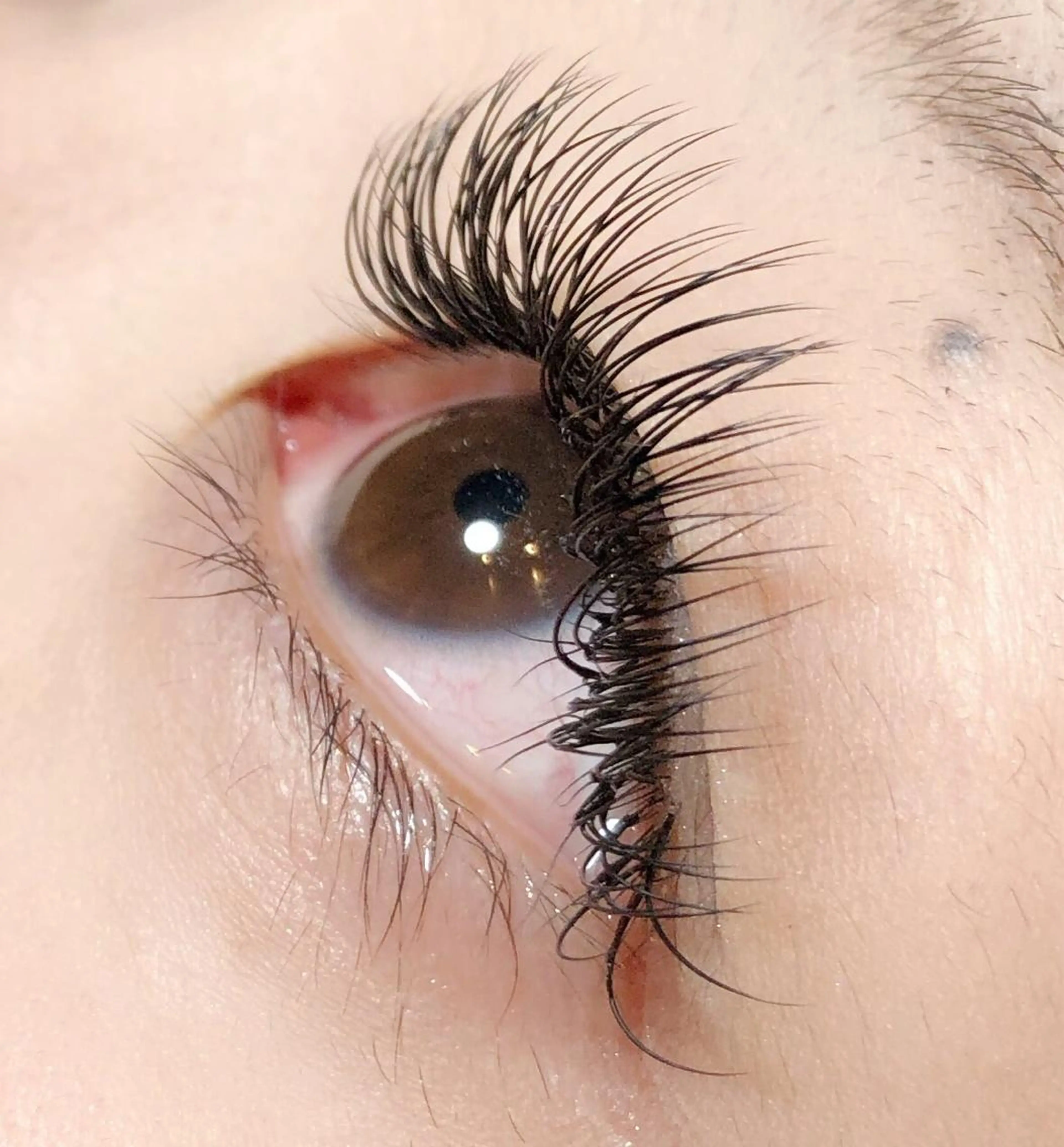 マツエク・マツパ 付け放題 Dカール force  hair所属・🫧富田 苑実🫧のヘアスタイル