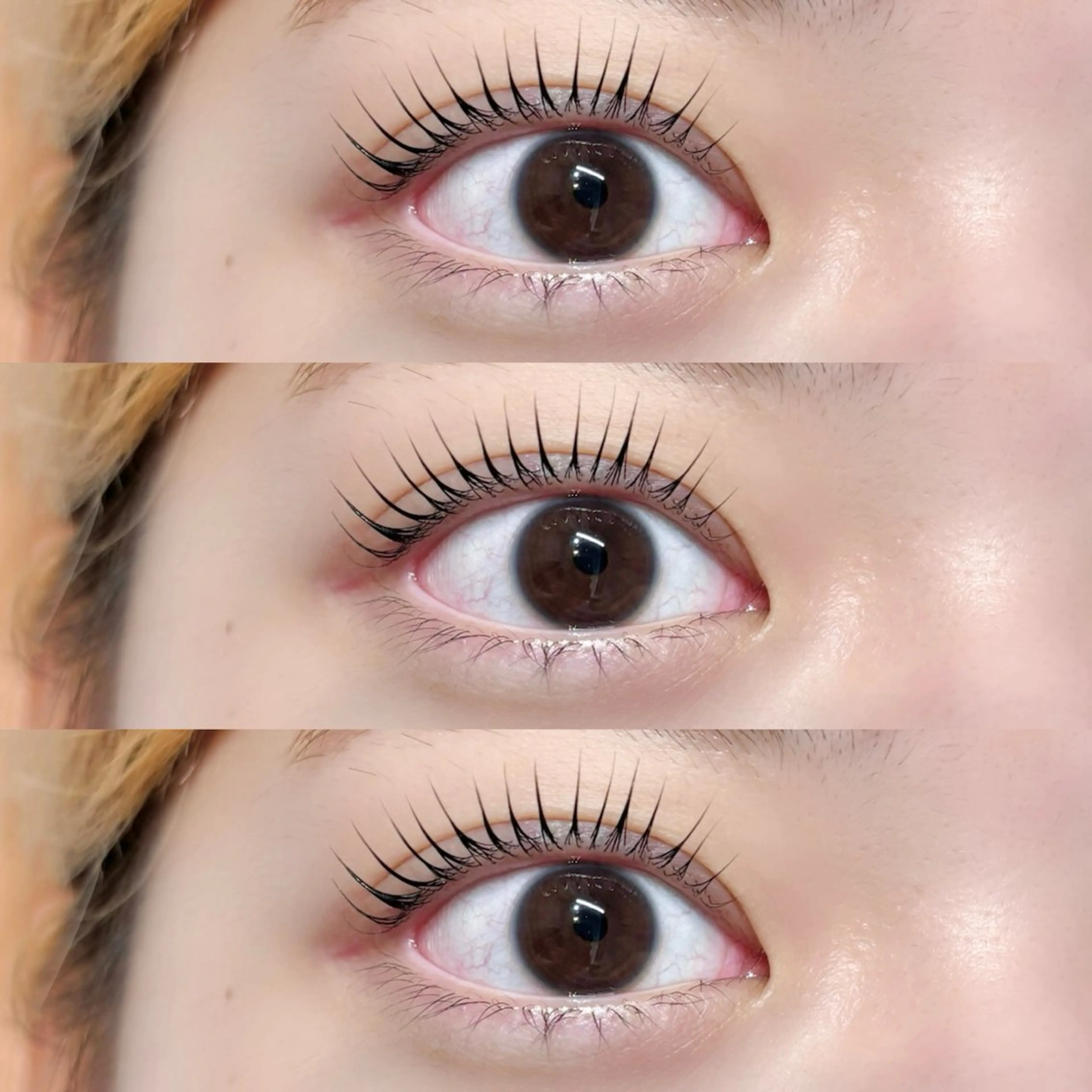 【25日限定‎🎄🤎】パリジェンヌラッシュリフト（ケラチントリートメント、コーティング付き🪄）の写真