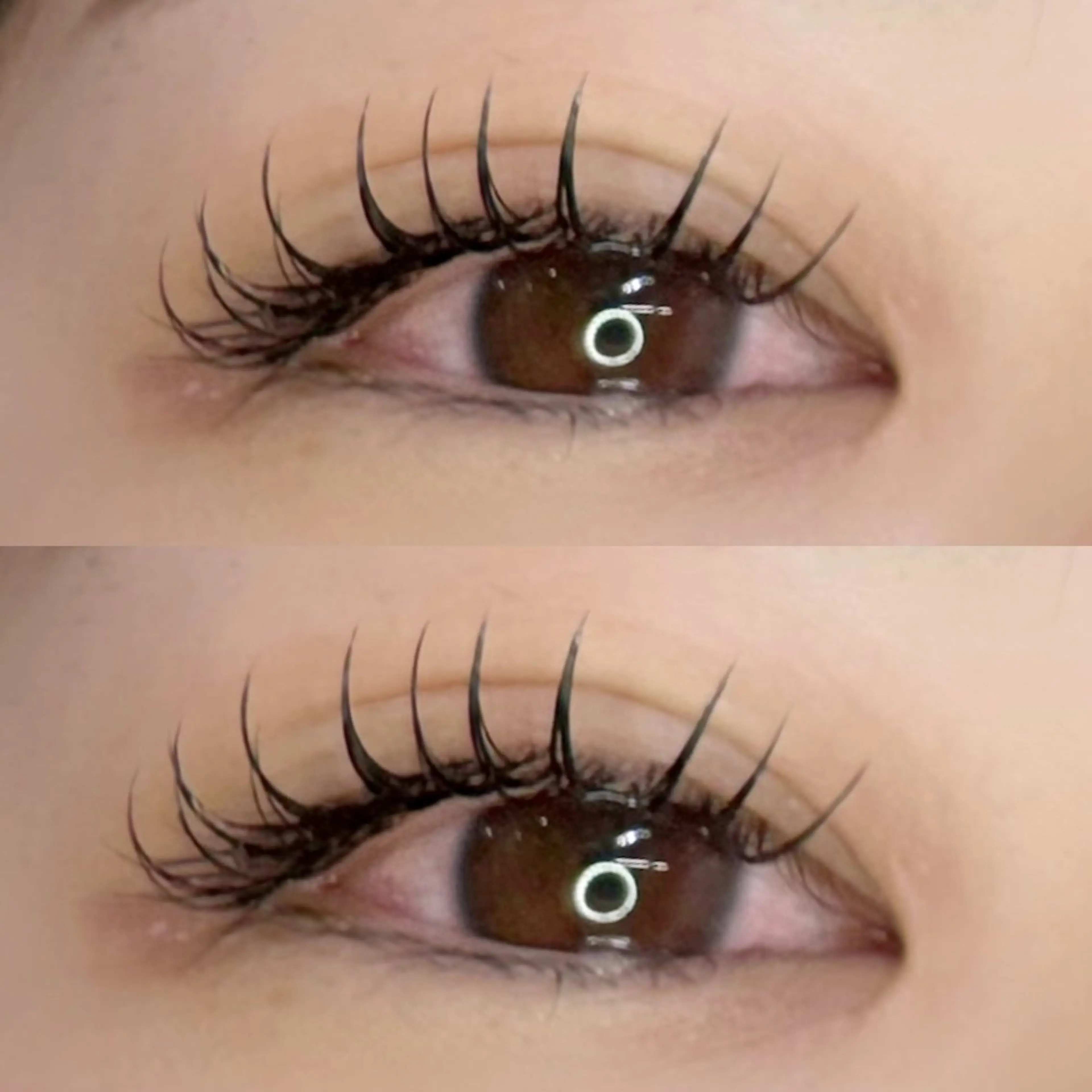 🌸 【柔らかい！軽いエクステ】フラットラッシュ ❤︎ オフ込み 120本 🌸の写真