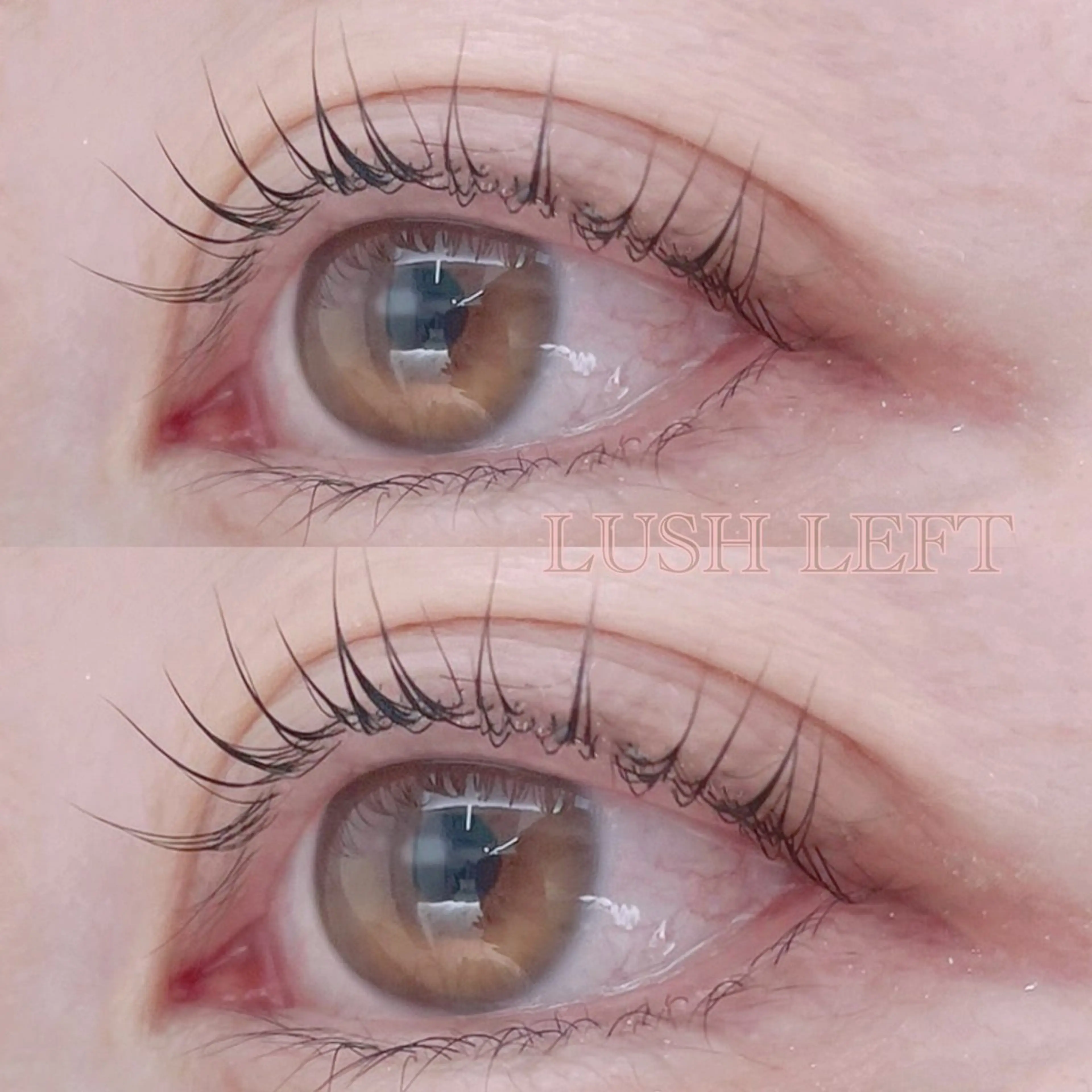 当日予約限定🩰大人気ラッシュリフト(トリートメント付き)🩰の写真