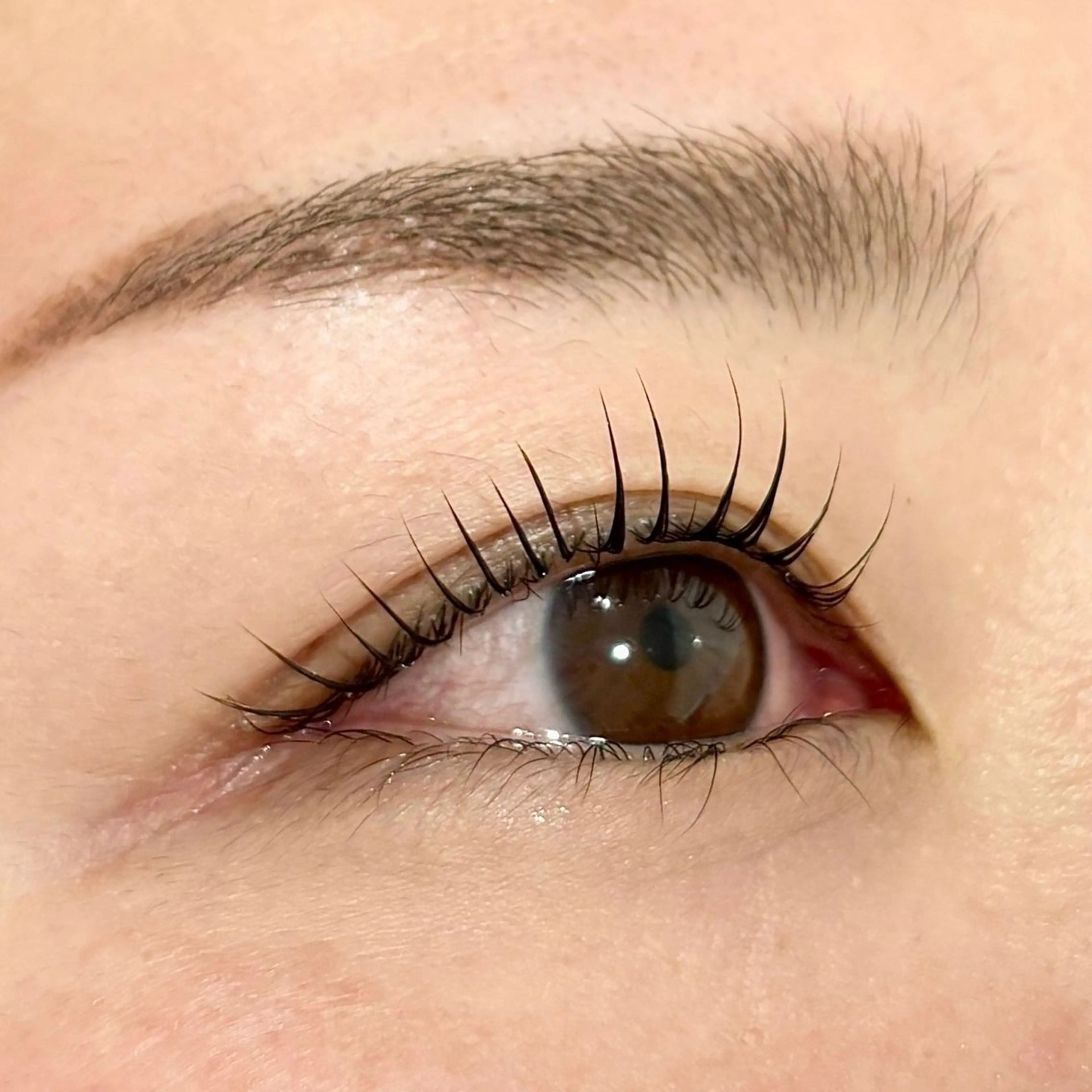 まつ毛パーマ🫧トリートメント&コーティングつきの写真