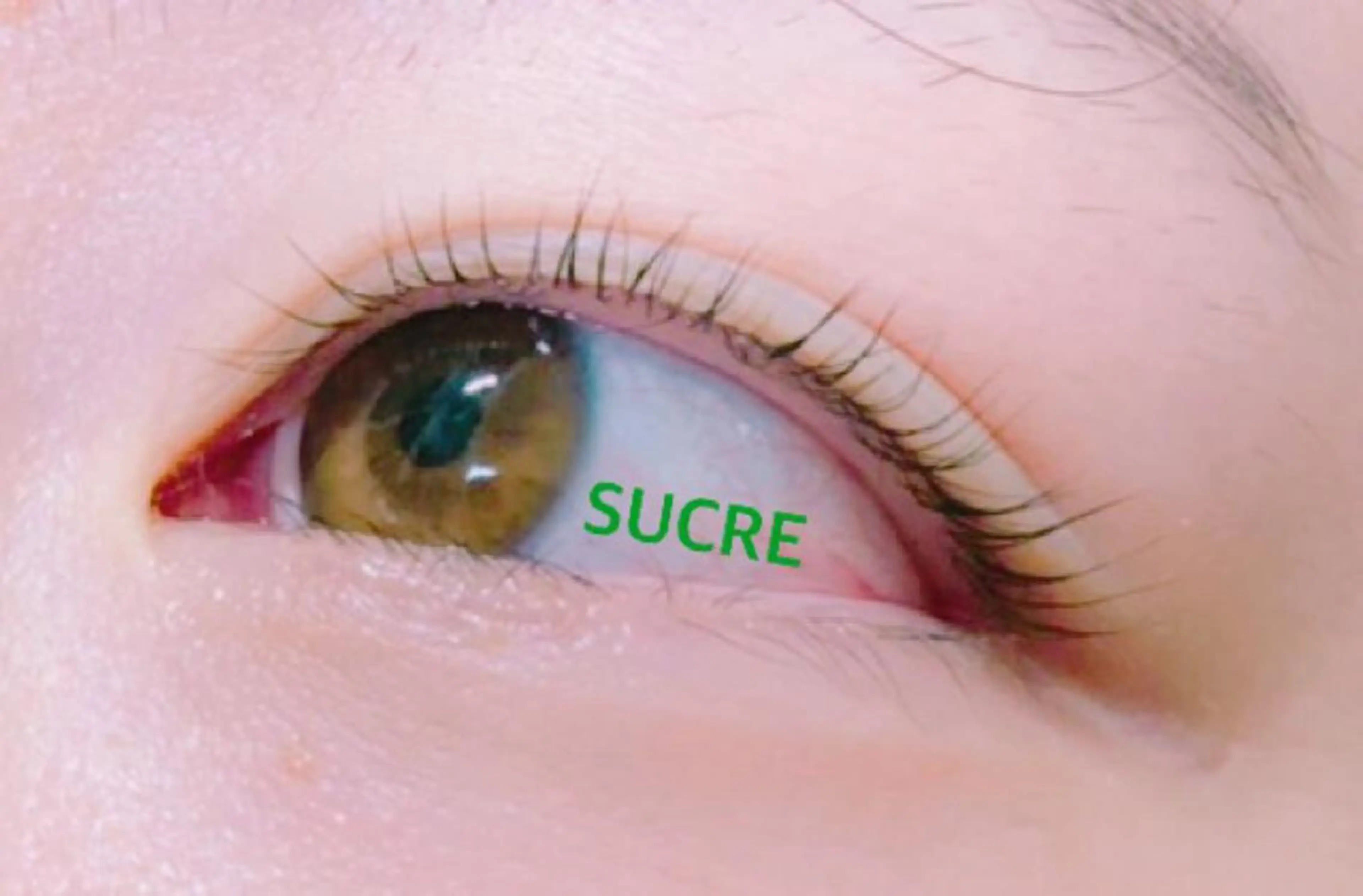 マツエク・マツパ EyelashSalon Liz.&所属・Liz.&現ino 平田のマツエク・マツパデザイン