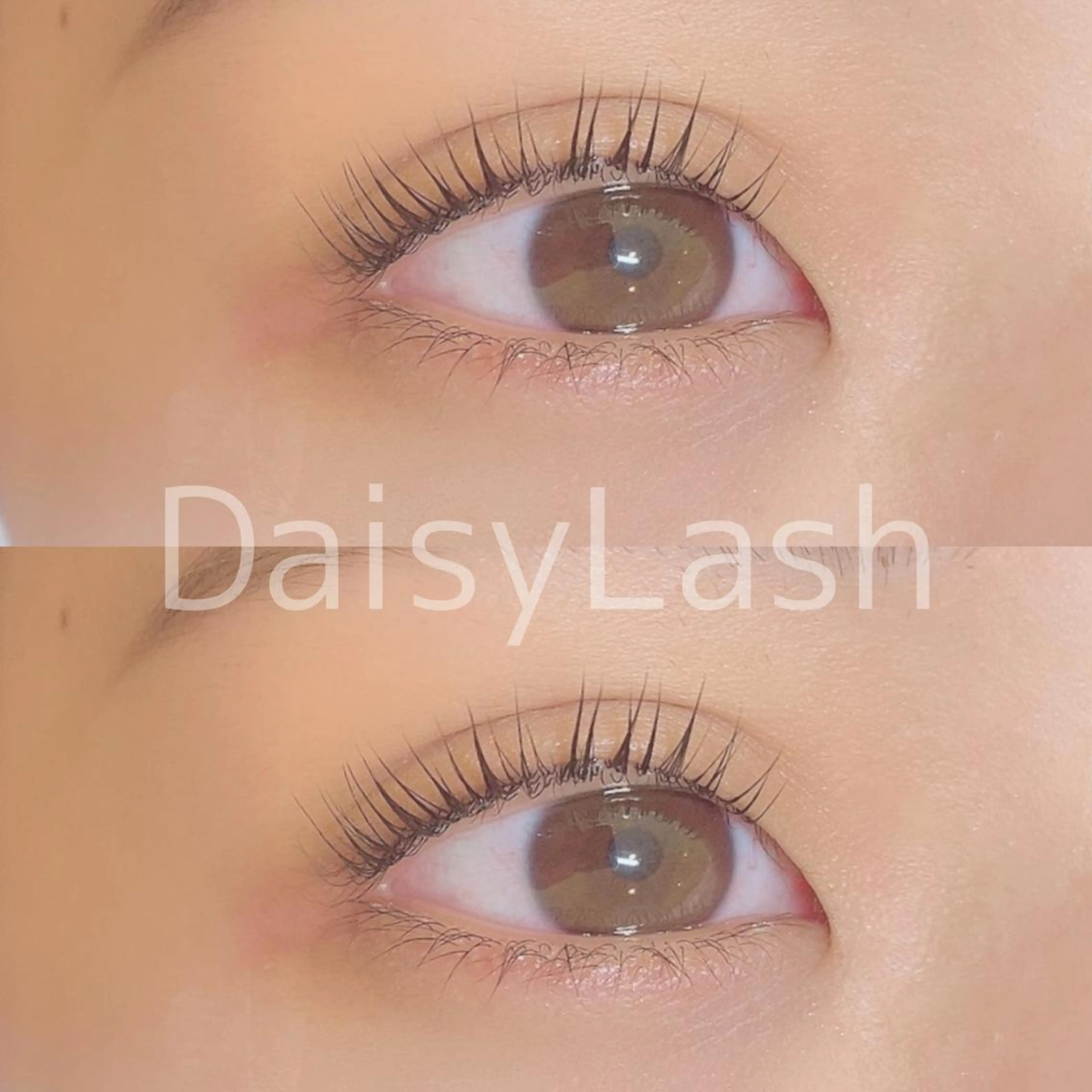 マツエク・マツパ DaisyLash 京橋店のマツエク・マツパデザイン