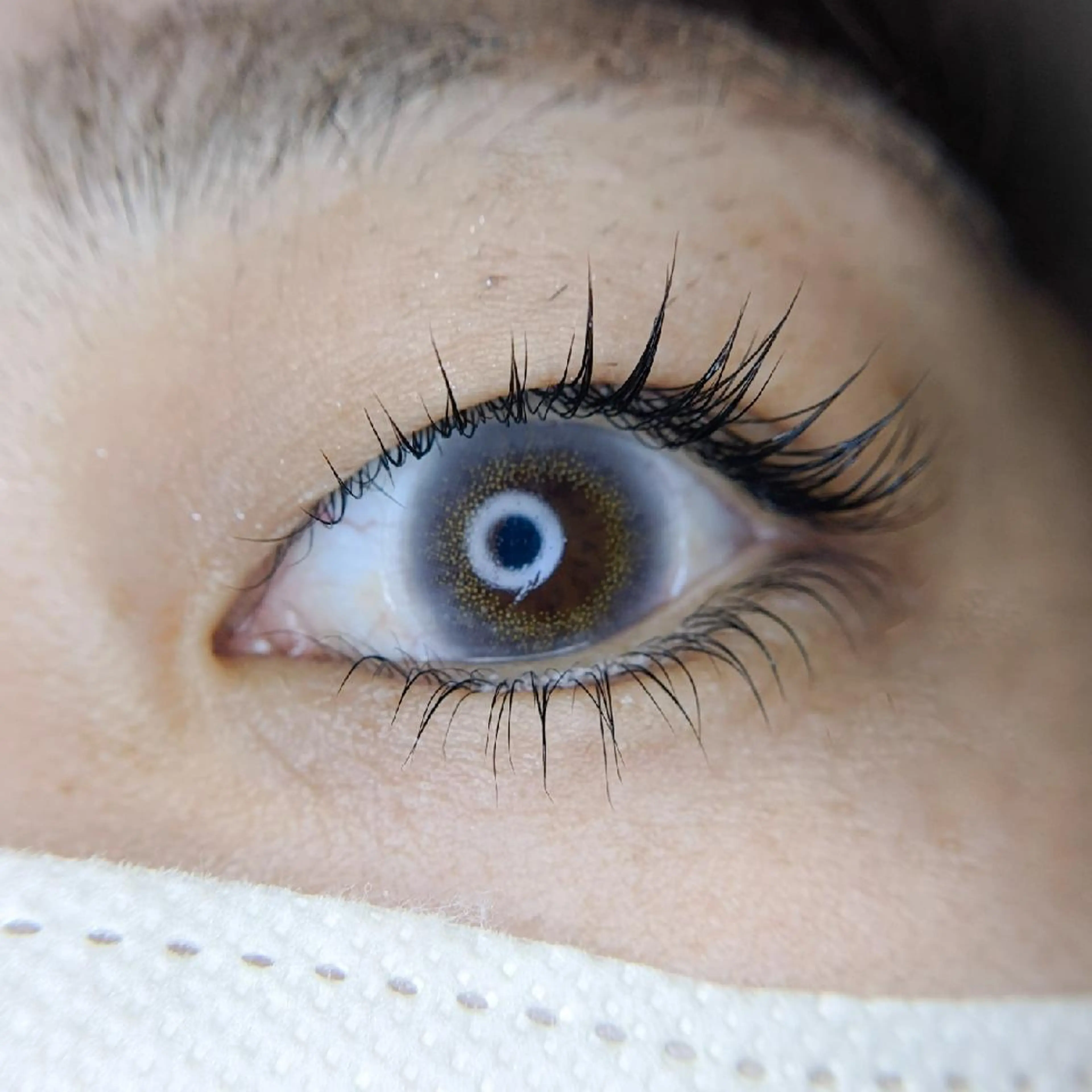 まつ毛パーマ 上下の写真