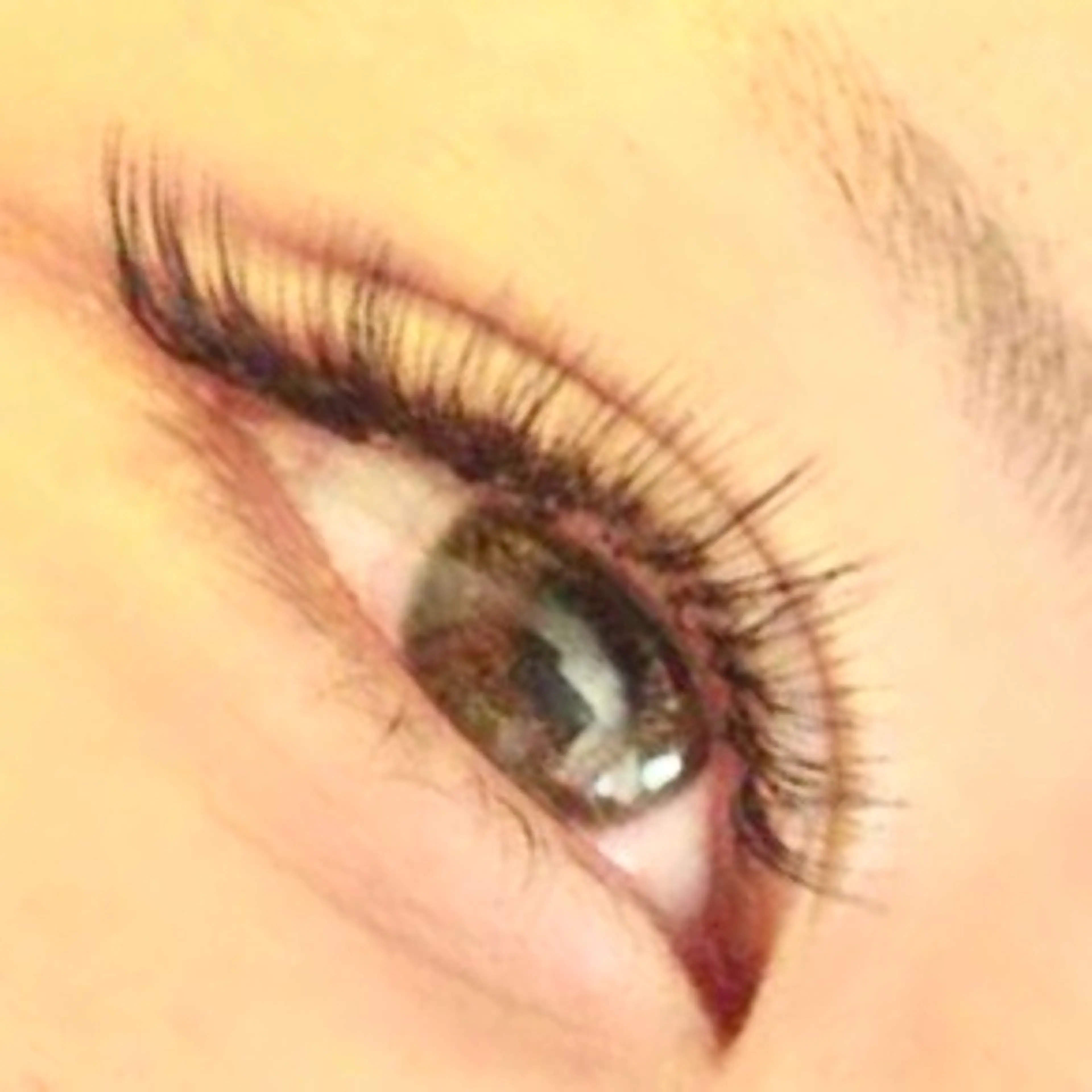 マツエク・マツパ albero di glicine 【アルベロ・ディ・グリーチネ】所属・。 AKARIのマツエク・マツパデザイン