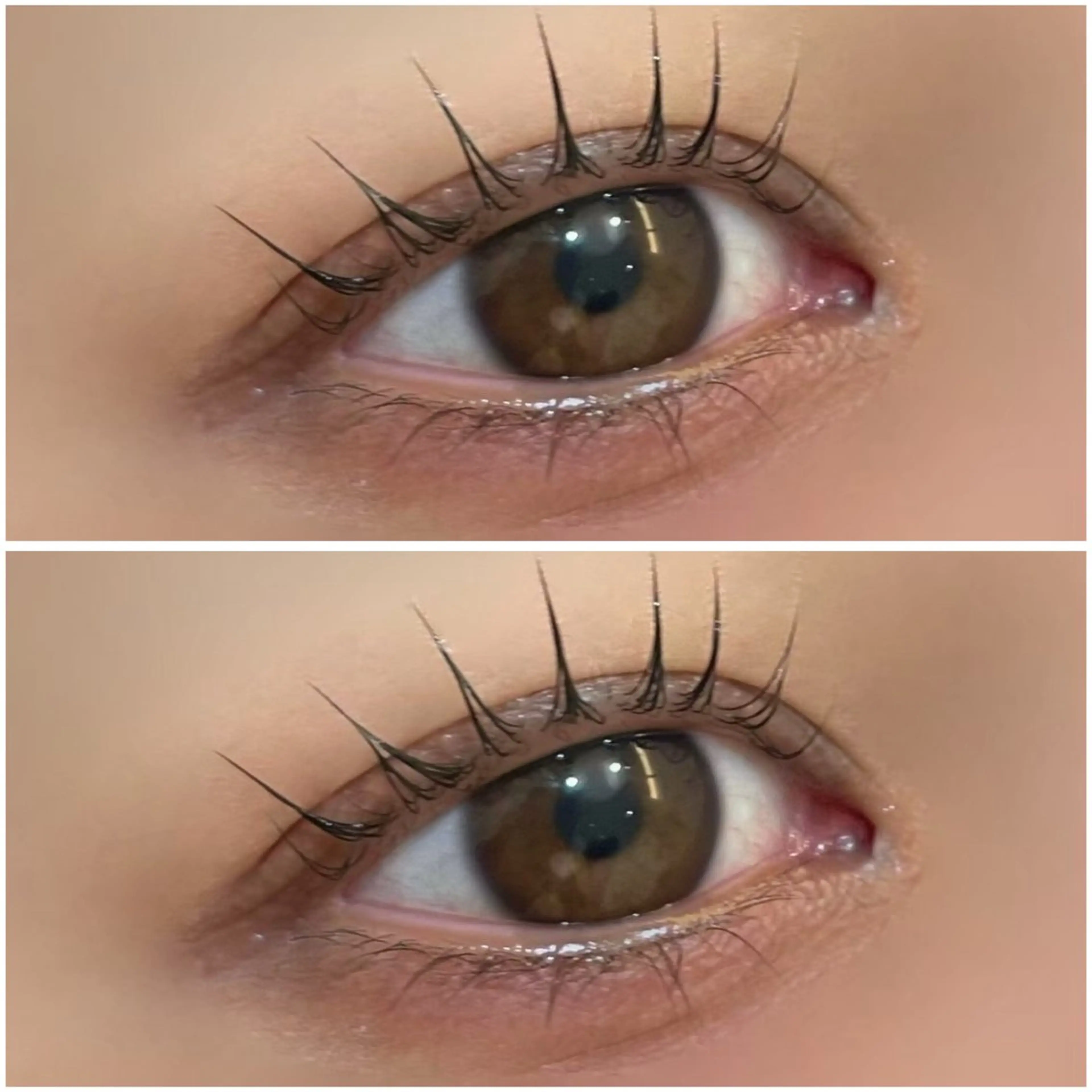 🚨当日限定🚨パリジェンヌラッシュリフト👀💛(オフ込)の写真