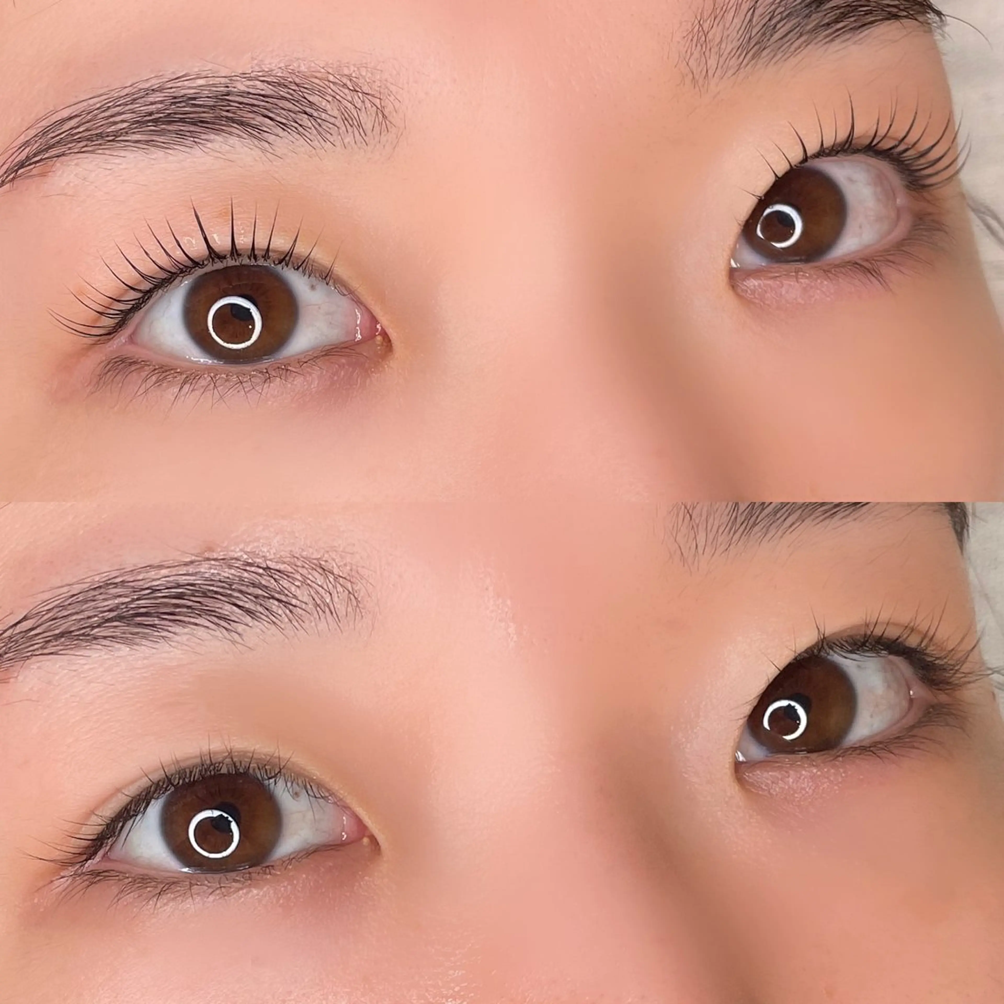 マツエク・マツパ パリジェンヌラッシュリフト Lian所属・【𝐋𝐢𝐚𝐧】 𝐑𝐢𝐨のマツエク・マツパデザイン